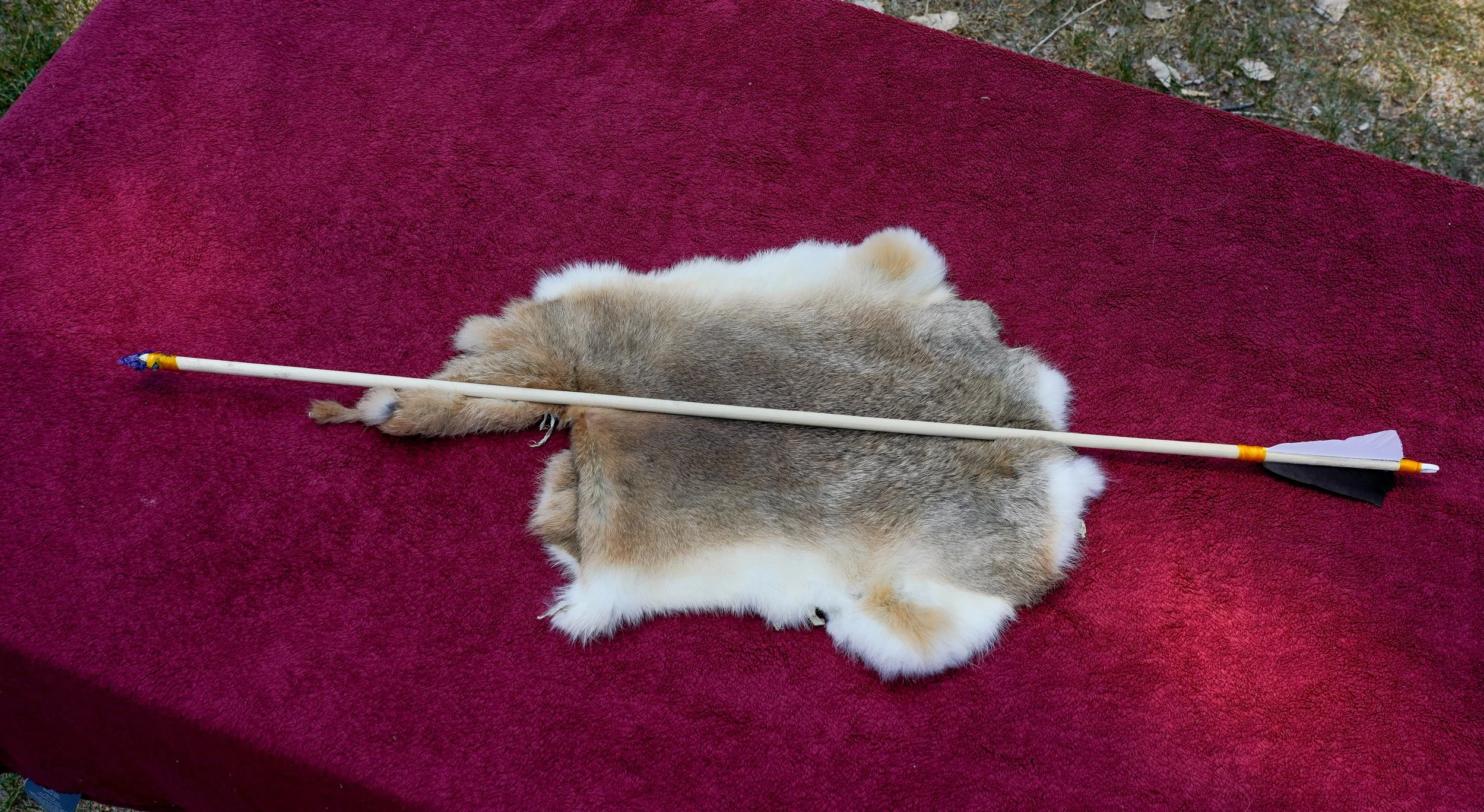 DSC06052.jpg