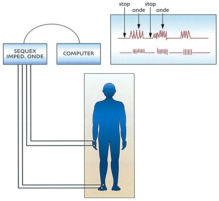 seqex-med-computer-768x703.jpg
