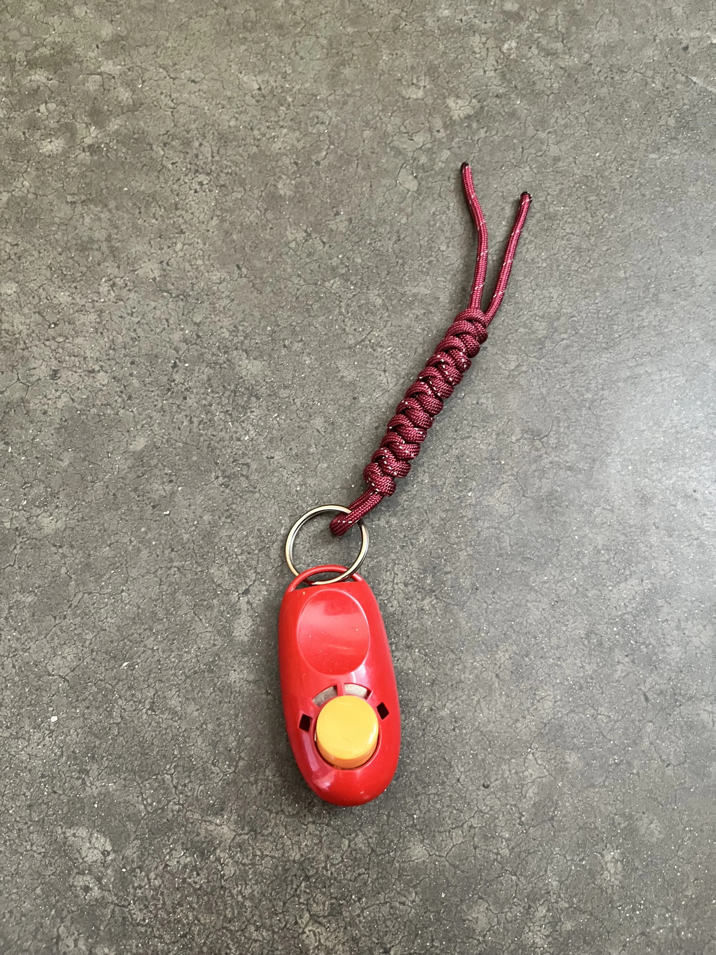 A red leash with a yellow button attached to a red handheld device, lying on a dark asphalt surface.
