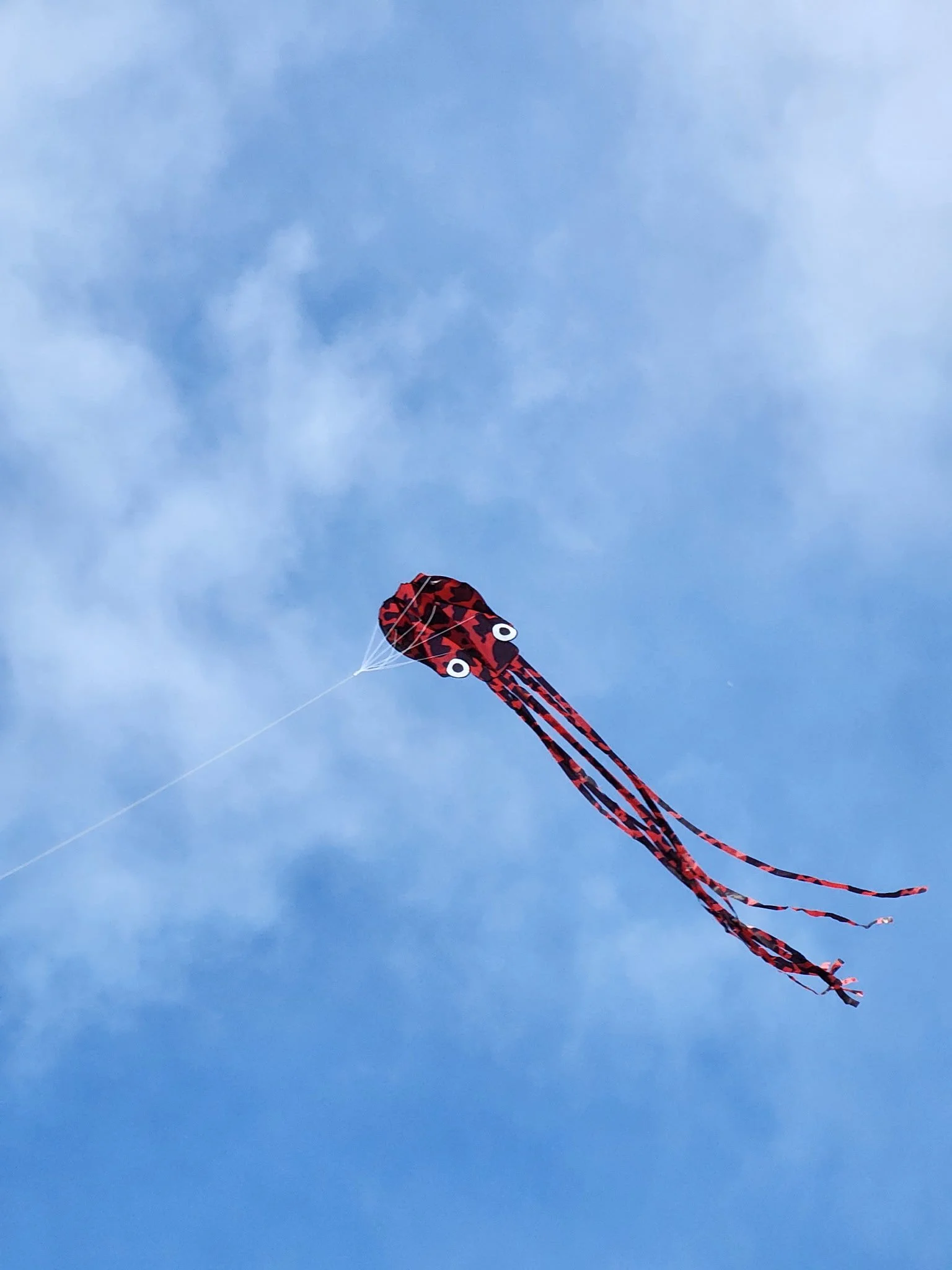 A red and black squid kite flying in a clear blue sky.