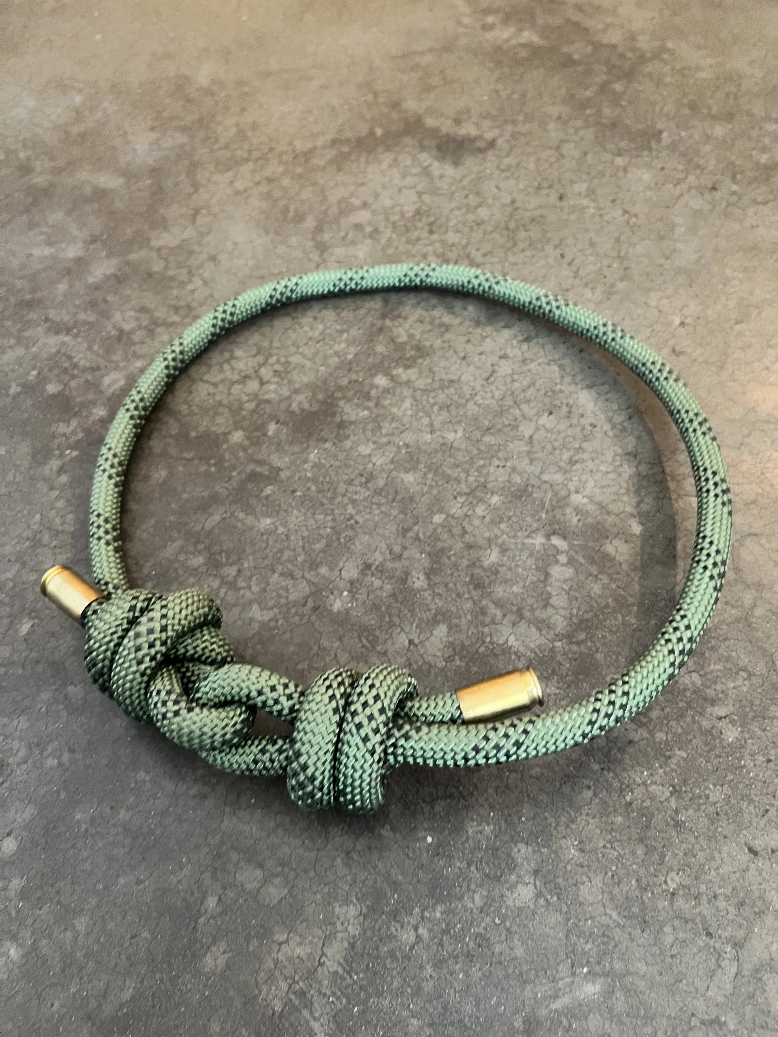A collar for a big dog.