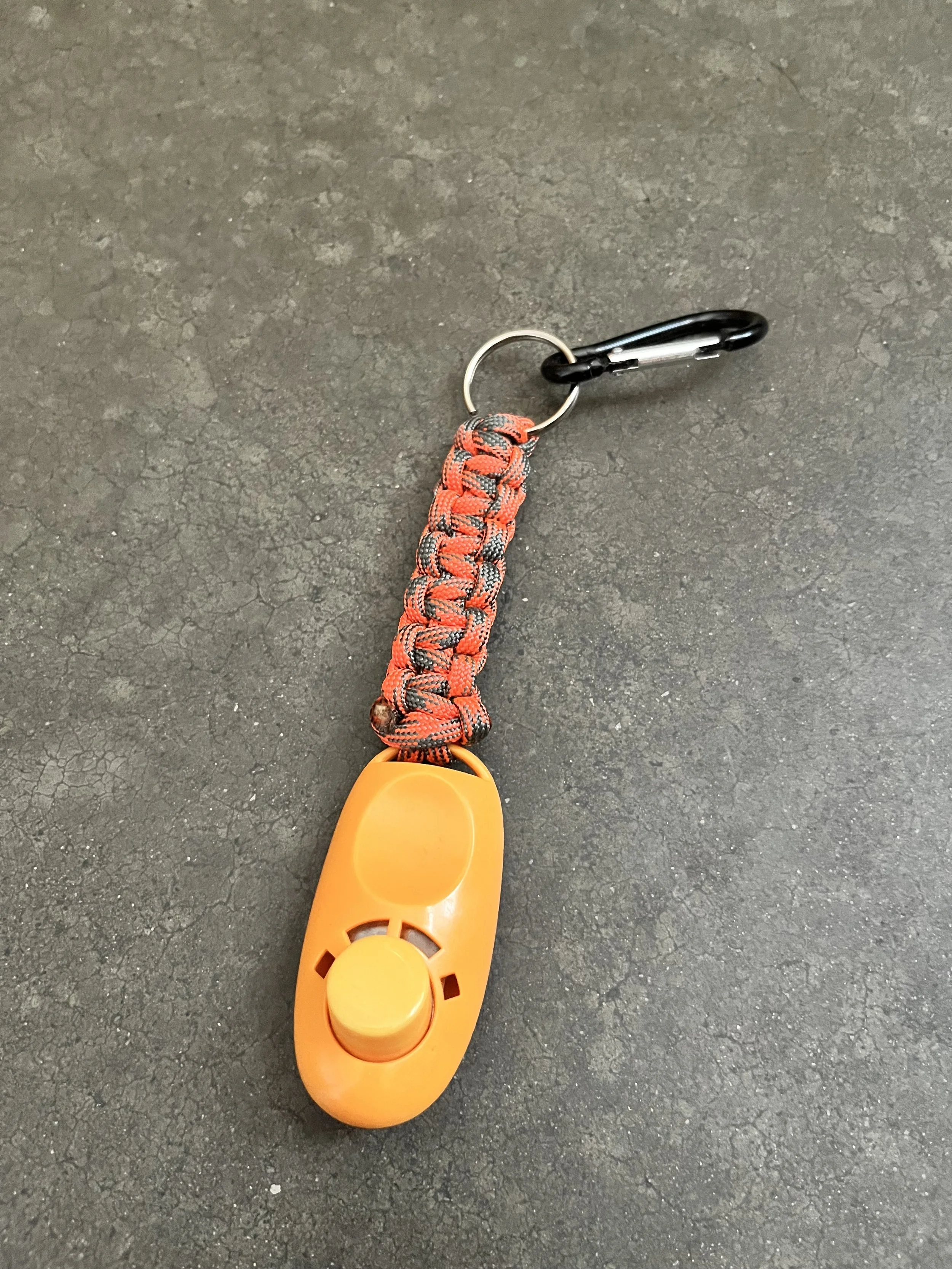 A pet clicker with a carabiner clip attached to paracord.
