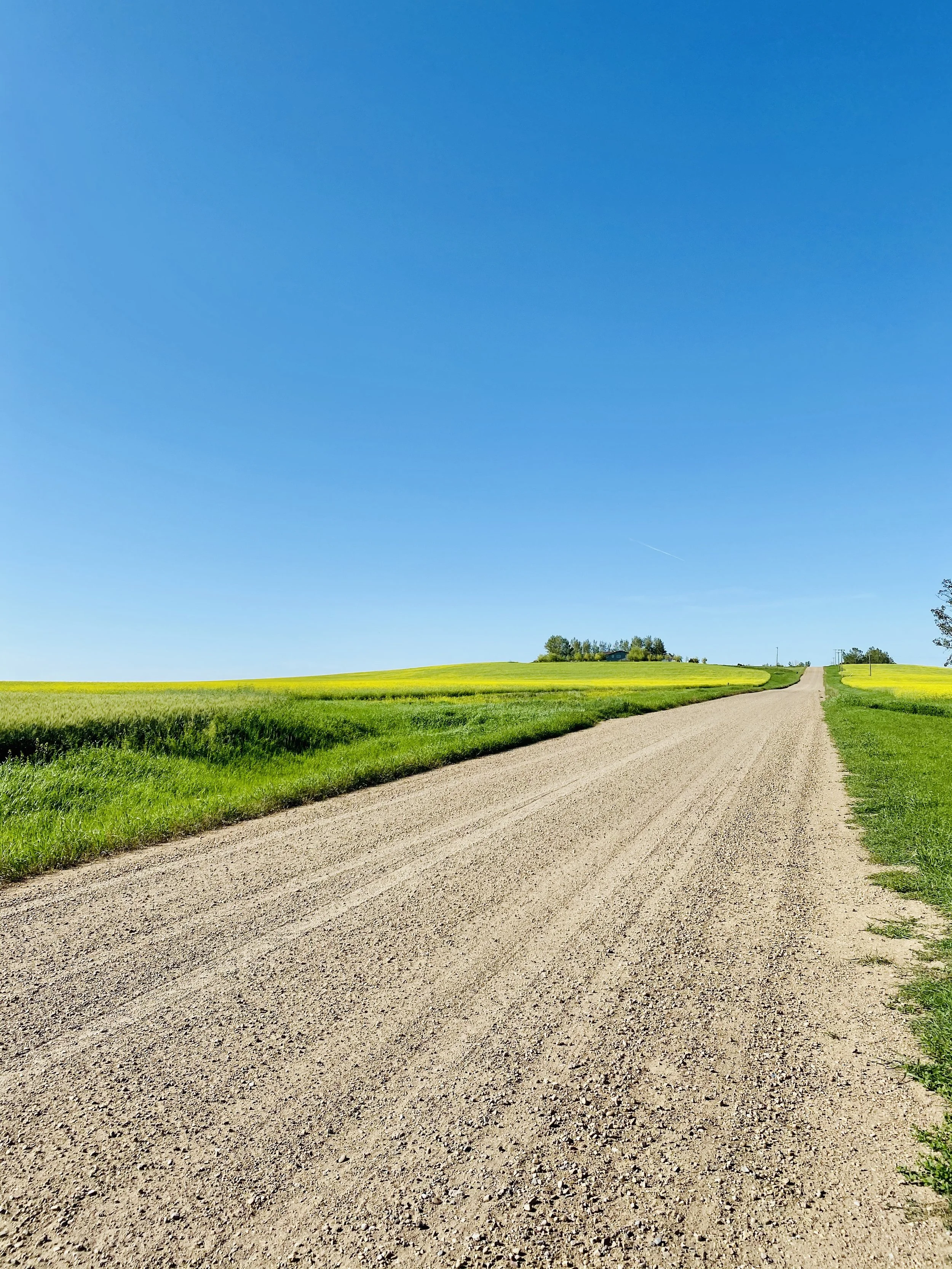 A dirt road running through green fields with a small house and trees in the distance under a blue sky.
