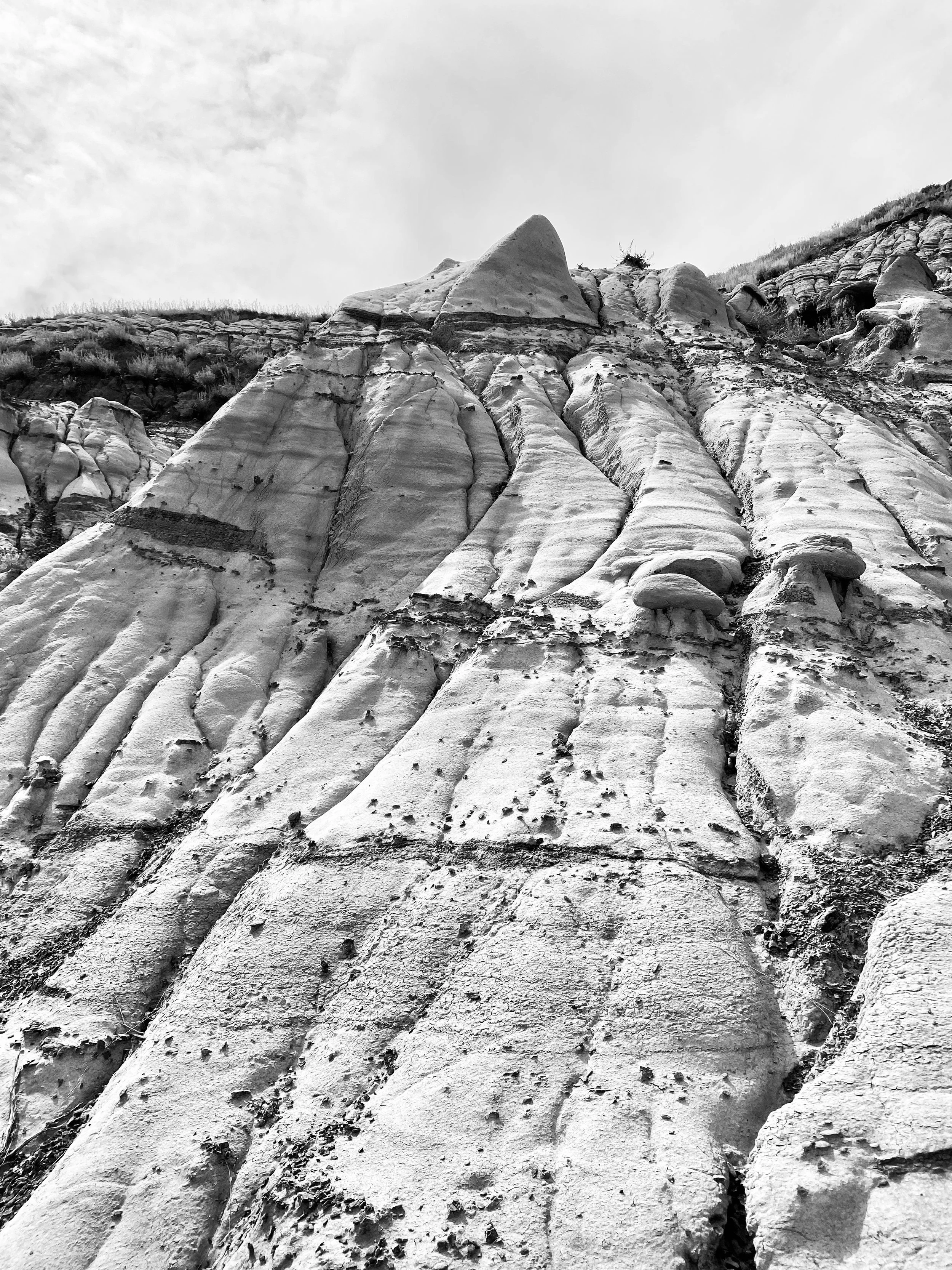 Black and white photograph of a rugged rock formation with layered textures and sparse vegetation at the top.