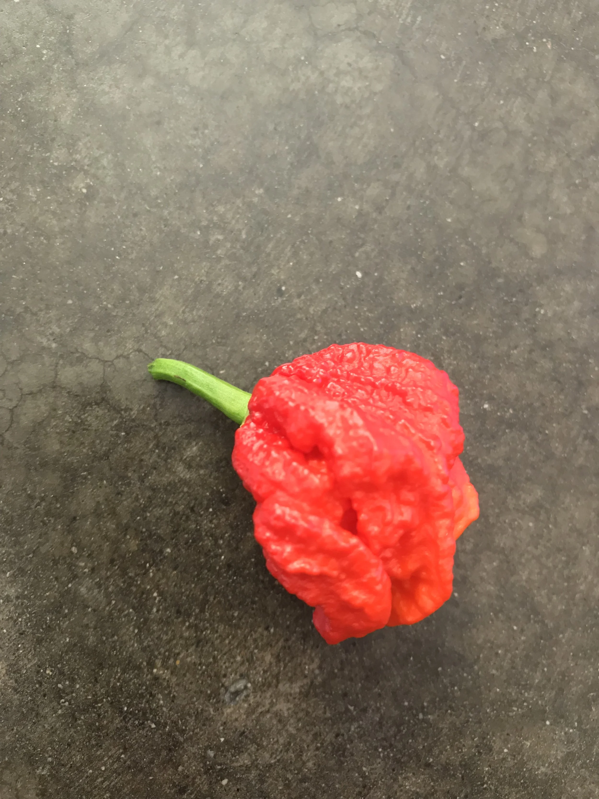 Close-up of a red pepper with a green stem on a dark gray textured surface.