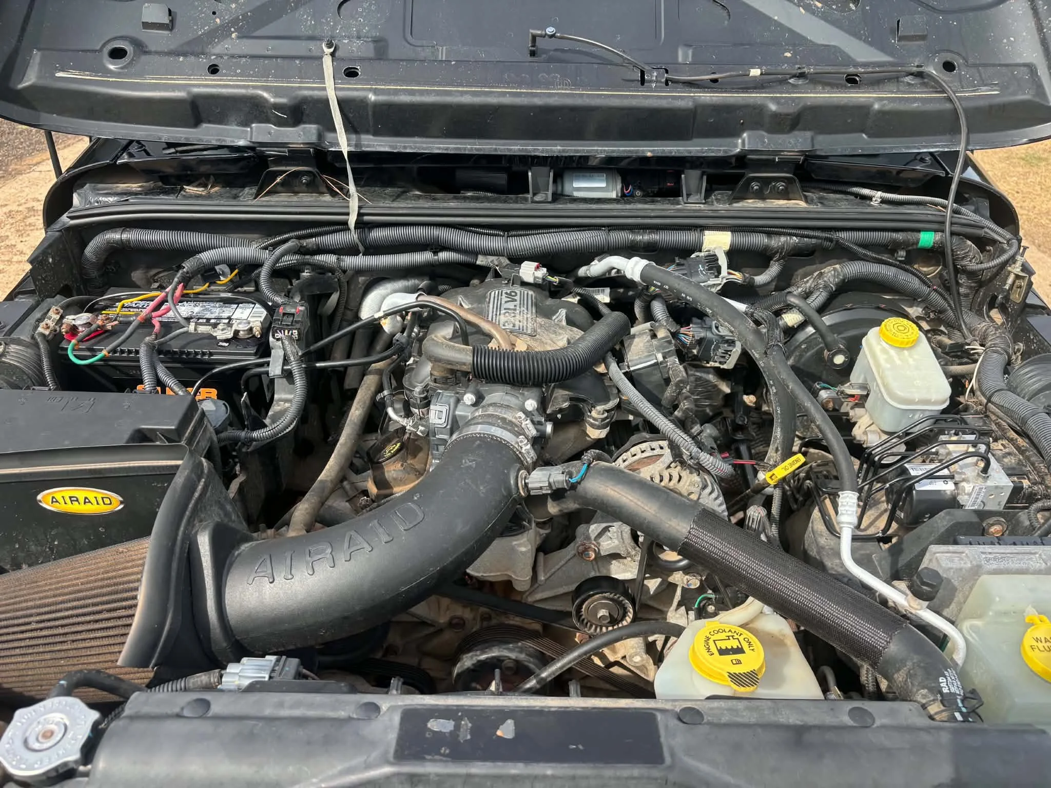 a9ad4428-09af-4c35-a984-af039f4c8b8f.jpg