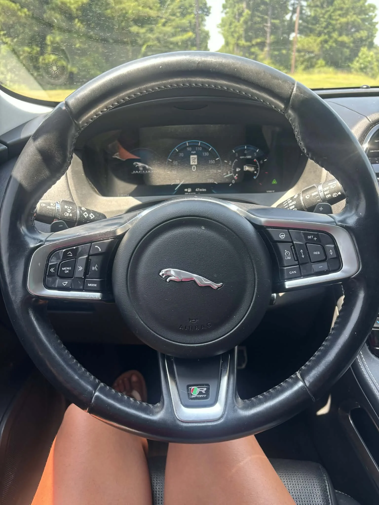 f33d181f-43a8-4659-ad83-4866162618df.jpg