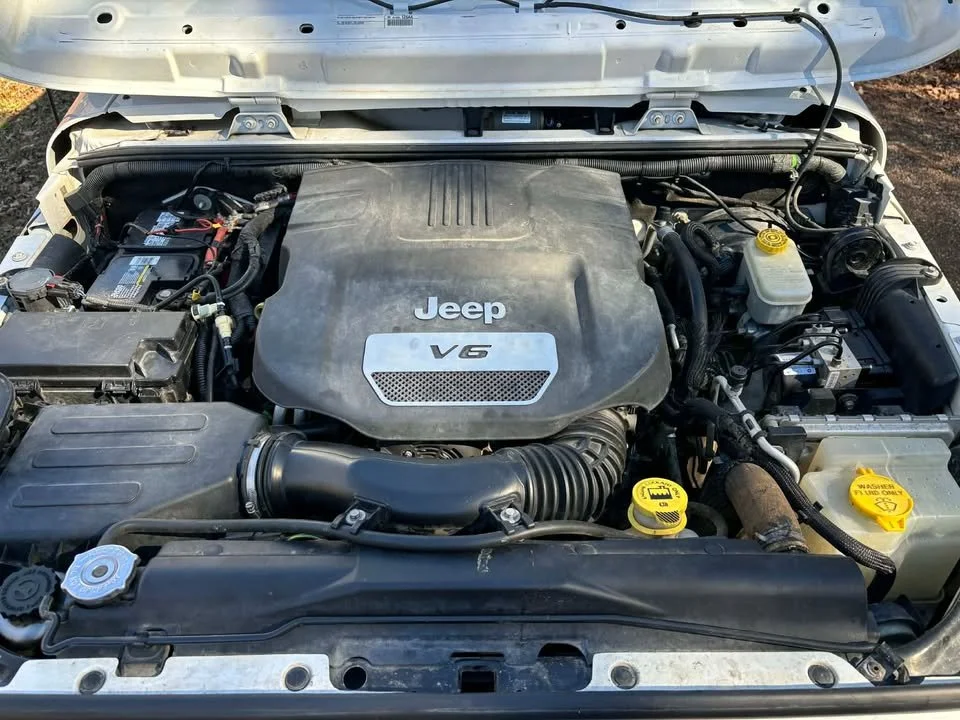 633954037_1481517406658214_5872037735550309012_n.jpg