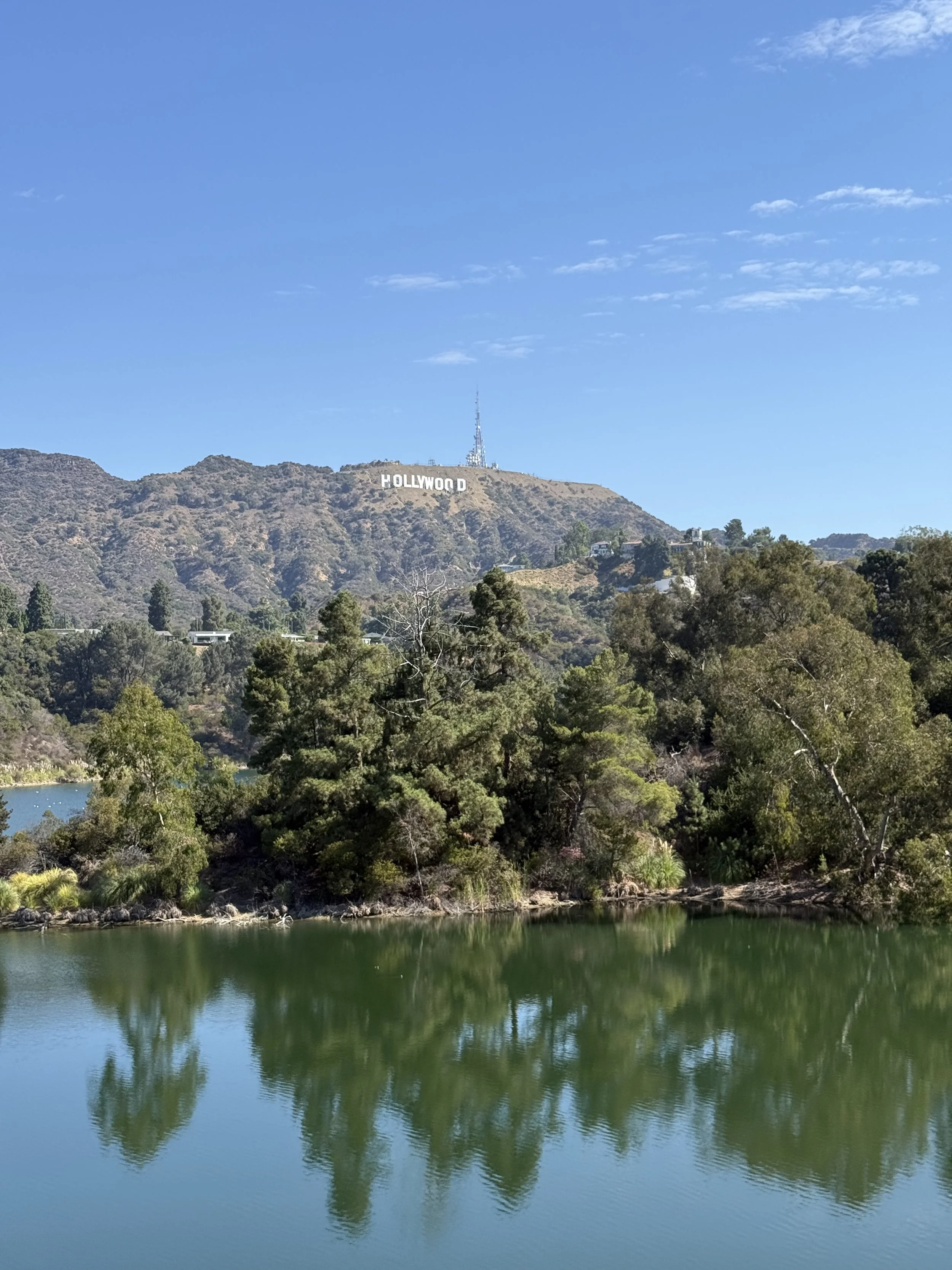 Best Neighborhoods for a Large Group Rental in Los Angeles