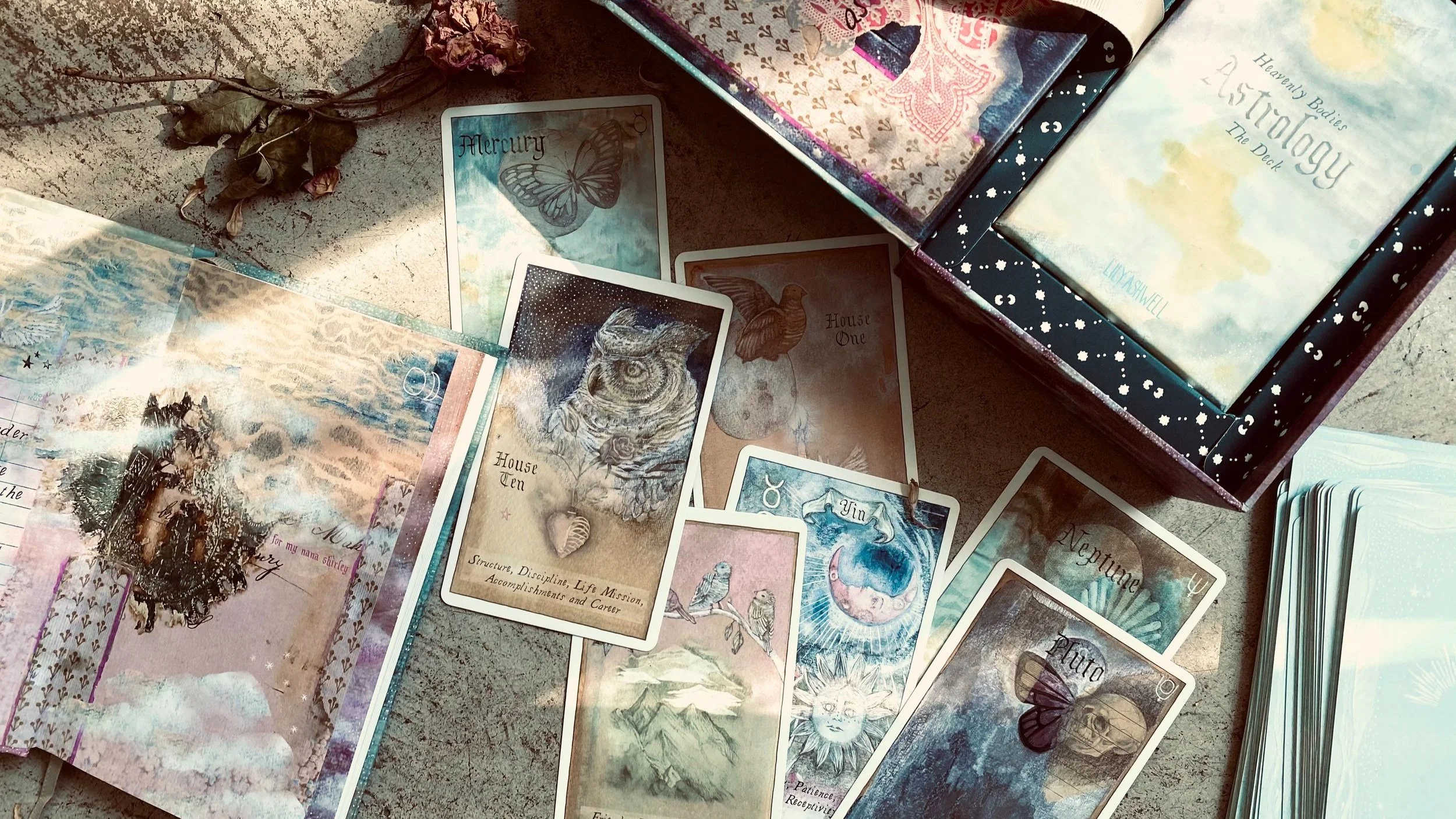 Open Heavenly Bodies Astrlogy card deck with various illustrated cards spread out on a surface, alongside a partially opened box containing more cards, dried flowers, and a book.