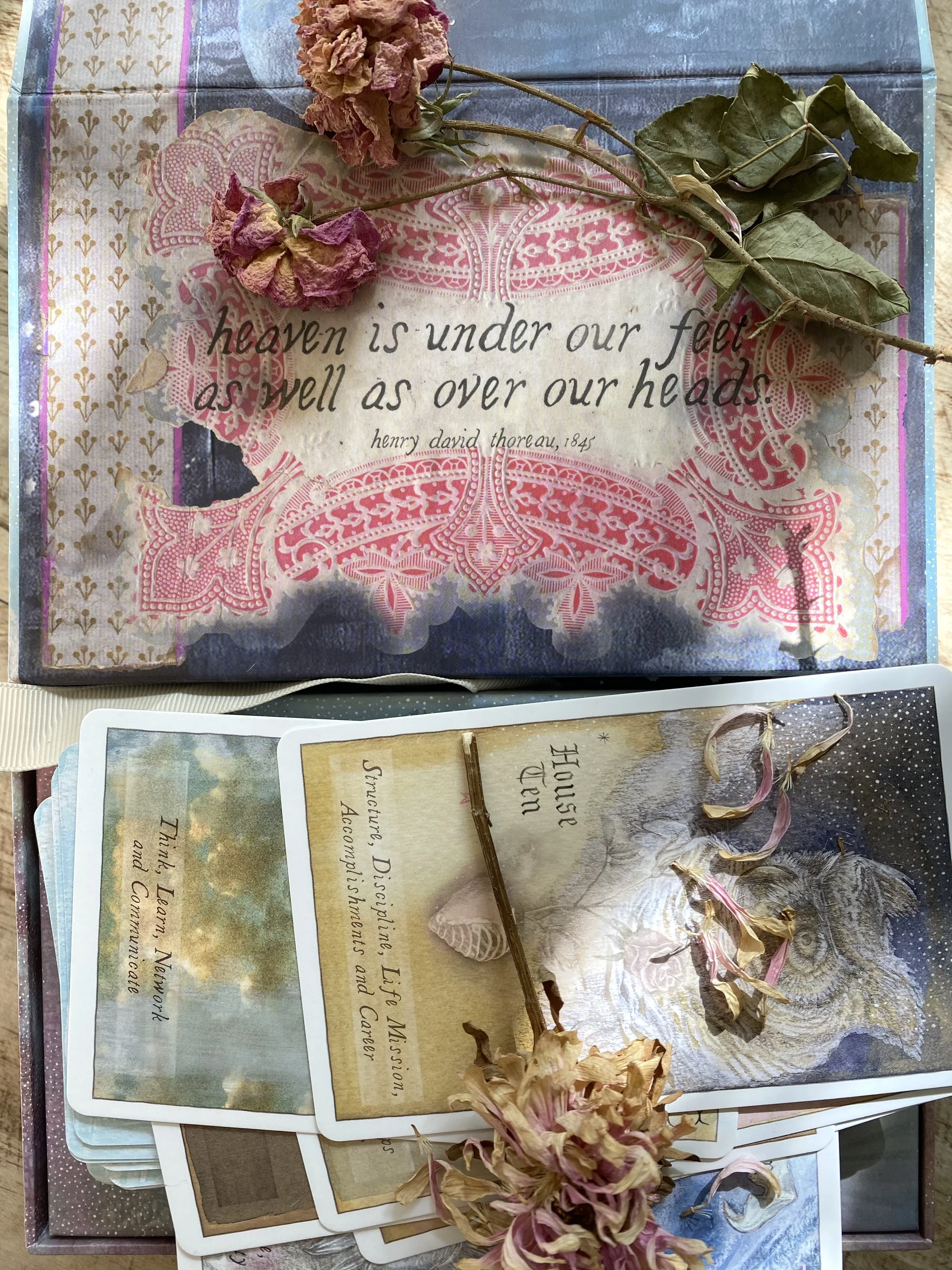 A decorative 'Heavenly Bodies Astrology Deck' box with a quote by Henry David Thoreau about heaven, adorned with wilted dried pink flowers on top. Below the box are cards about the U.S. House of Representatives and a dried flower arrangement.