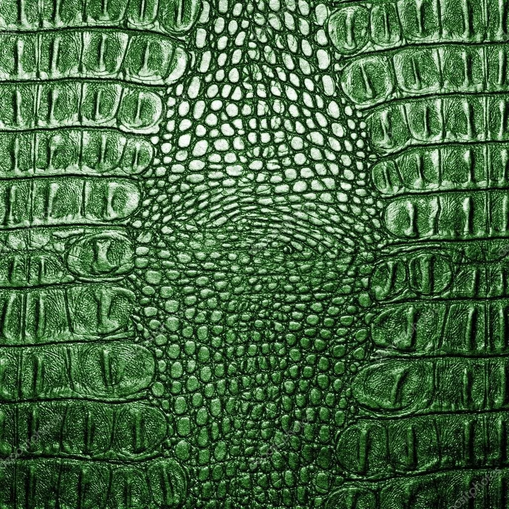depositphotos_85427656-stock-photo-green-crocodile-leather-texture-closeup.jpg
