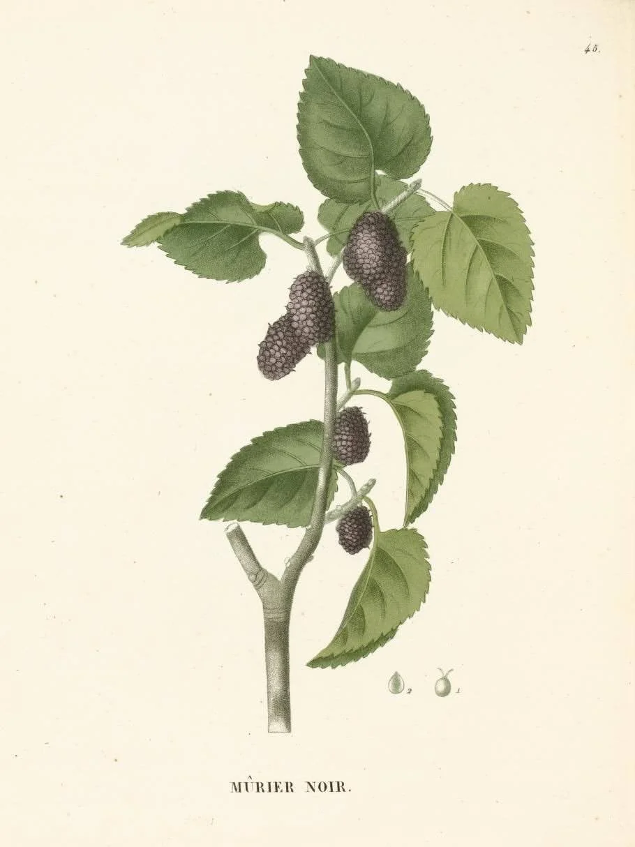 aaf6e8419d114ac346aef32d0de1babf.jpg