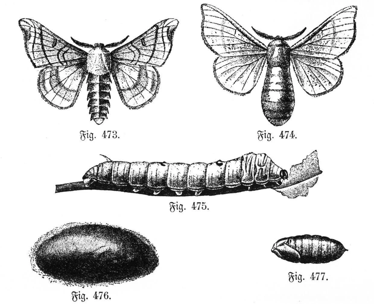 5a4ad79b66e858ae60d7248dc80eece2.jpg