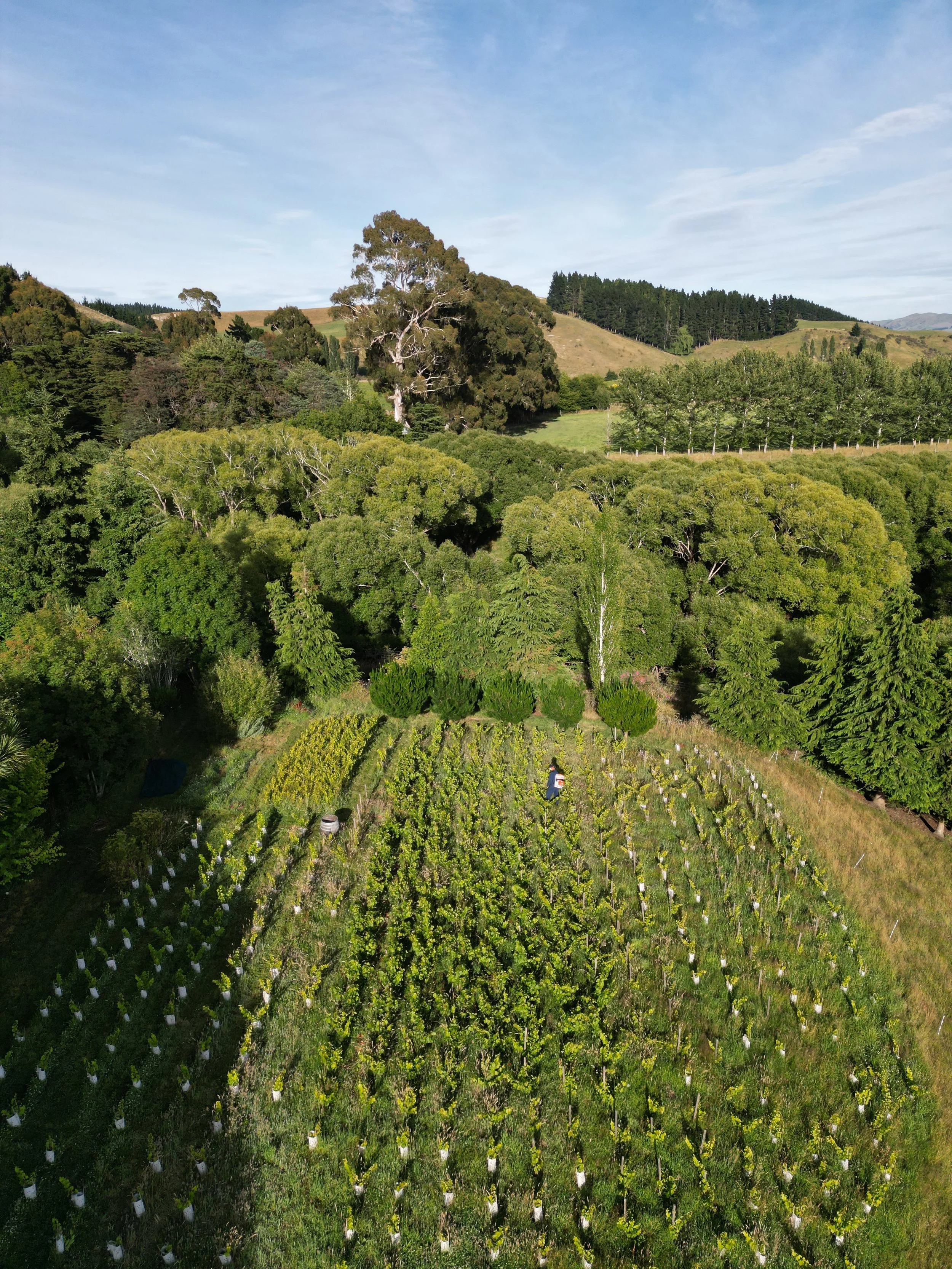 dji_fly_20230104_081358_209_1672773304489_photo.jpeg