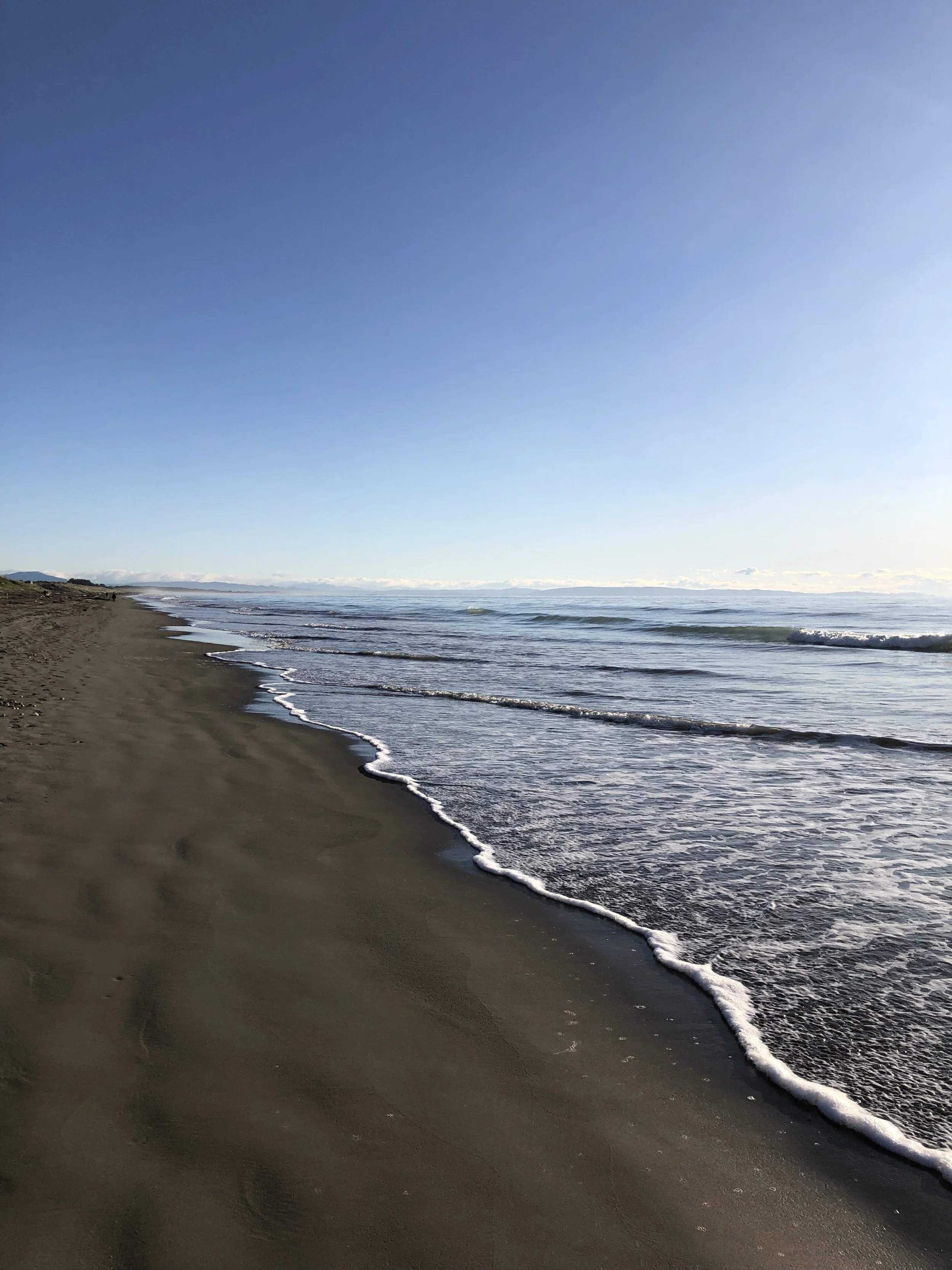 IMG_0016.jpeg