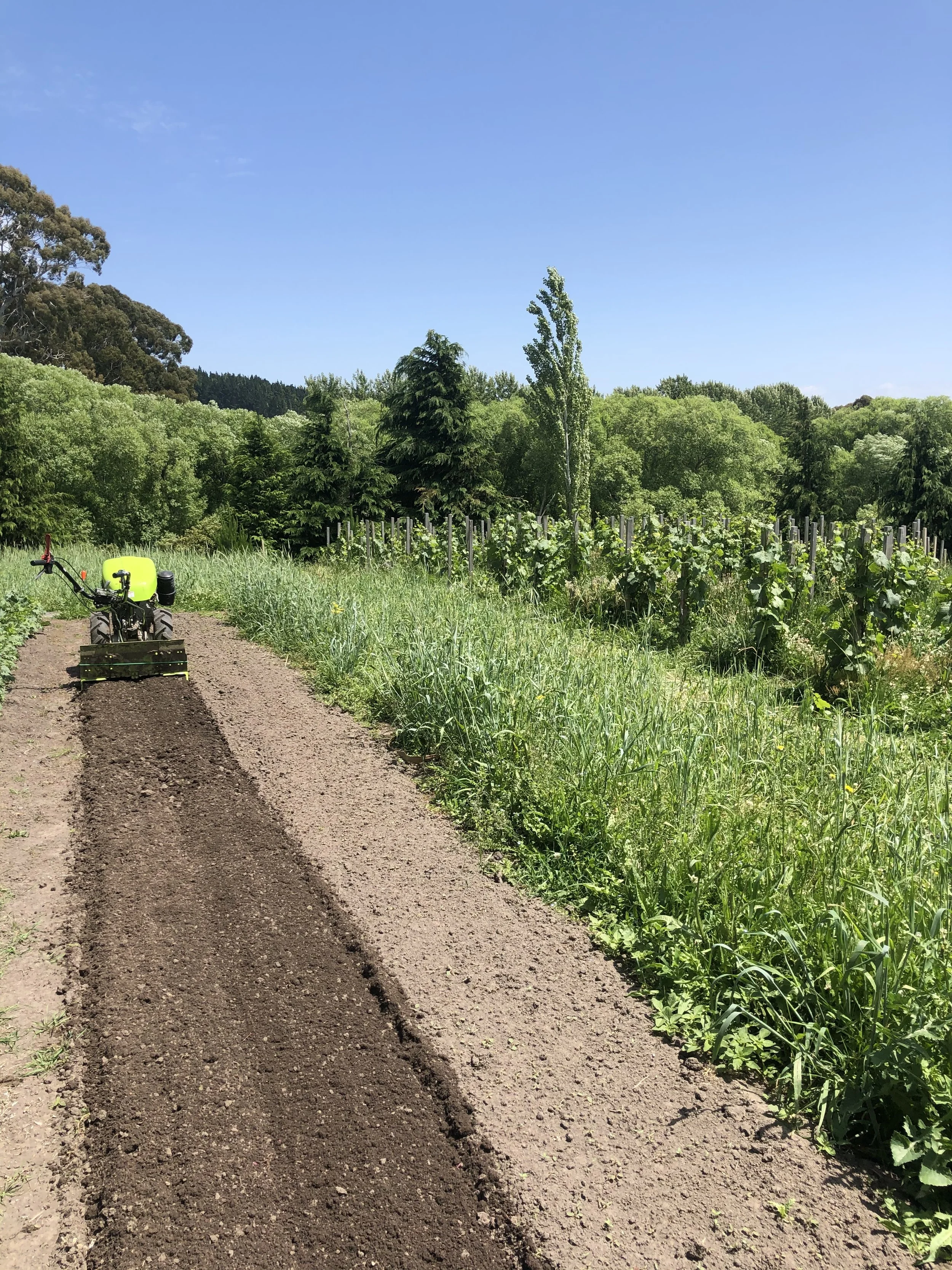 Market garden beds