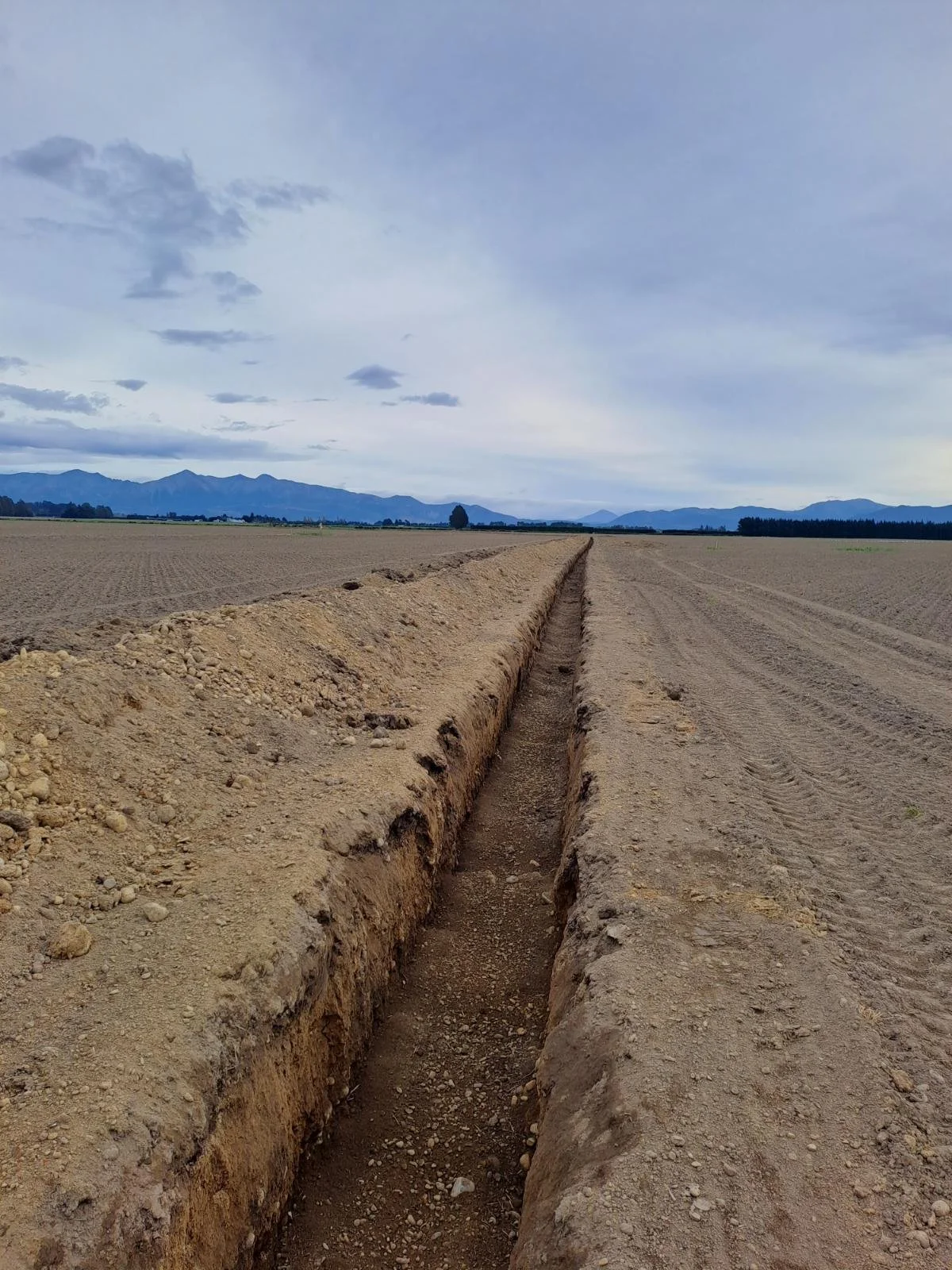 Irrigation project management