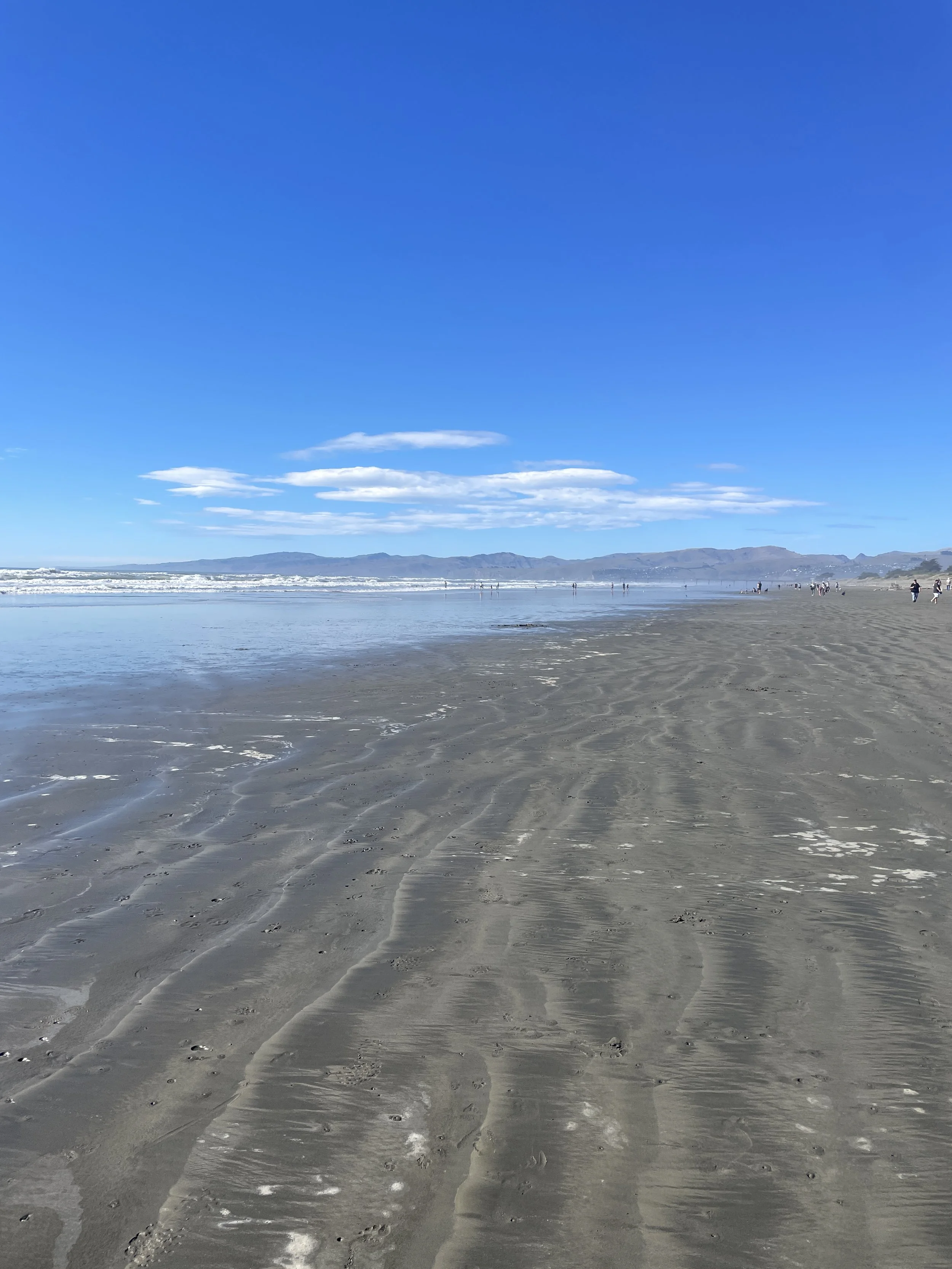 IMG_0111.jpeg