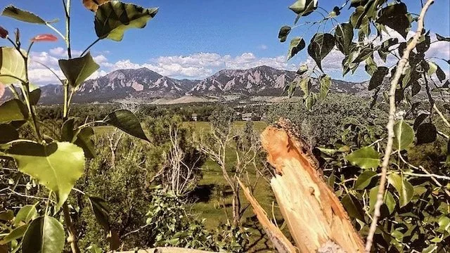 View of mountains in the background with a green valley and trees in the foreground, under a partly cloudy sky.
