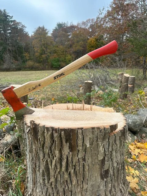 An axe embedded in a large cut tree stump in a wooded outdoor area with trees and logs in the background.