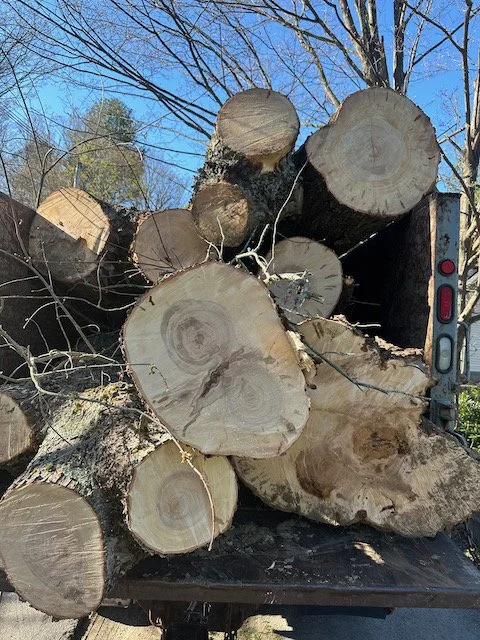 Cut logs of tree trunks stacked on a flatbed truck outdoors with trees and a clear blue sky in the background.
