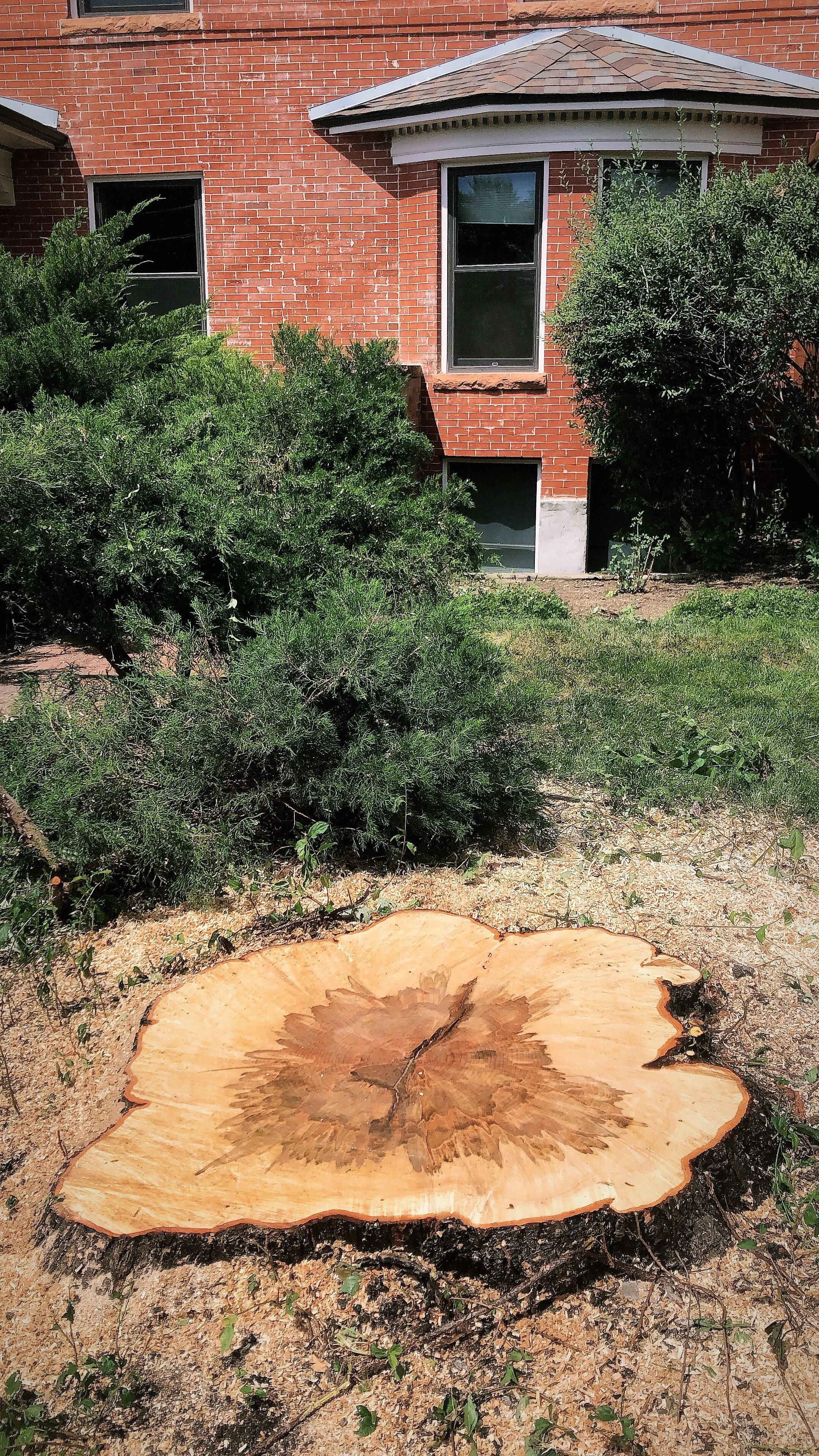 Stump Removal
