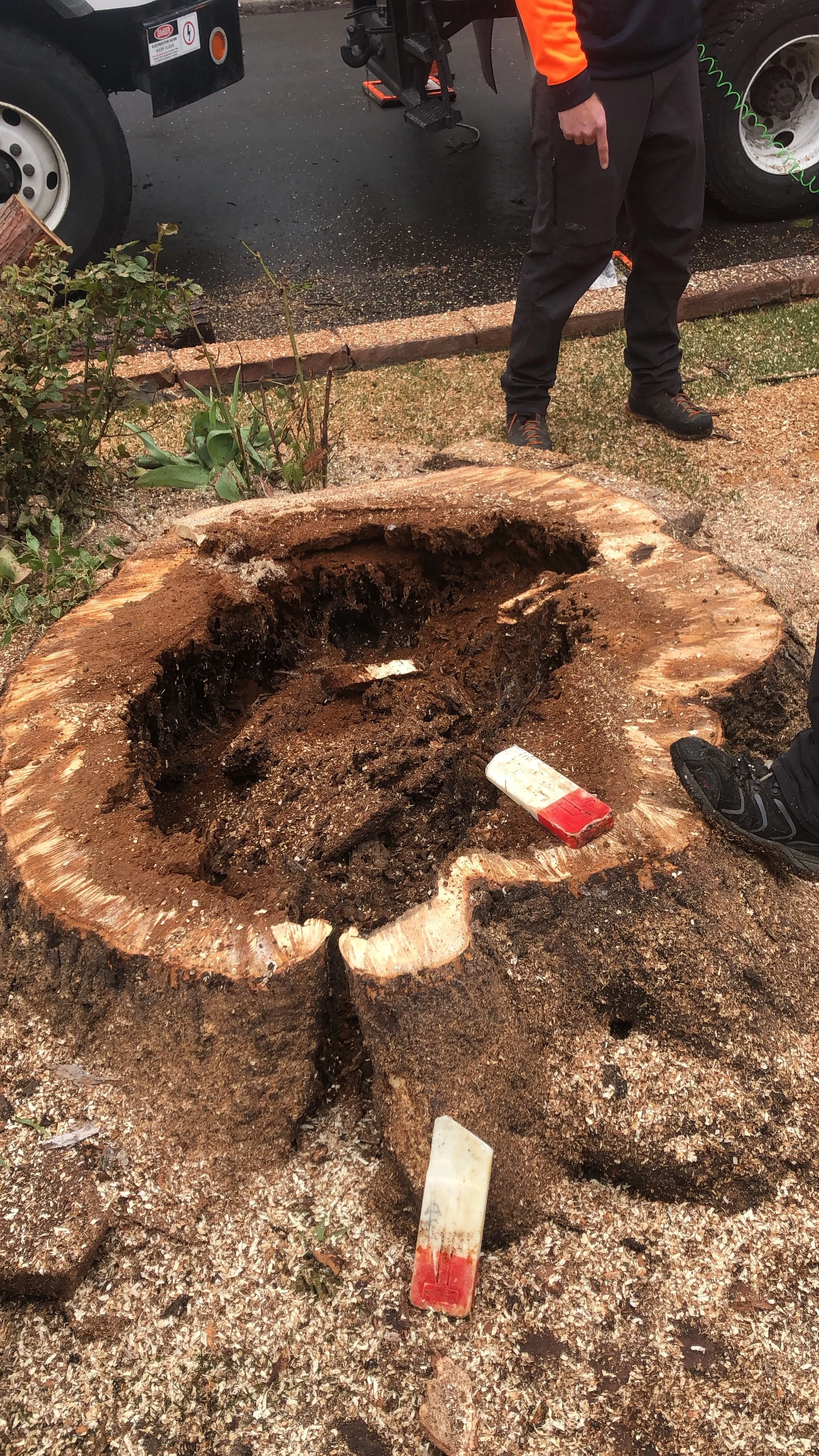 A large tree stump that has been cut down, with a hole in the center and sawdust around it. Two people are standing nearby, one pointing at the stump, and a vehicle with tools is in the background.