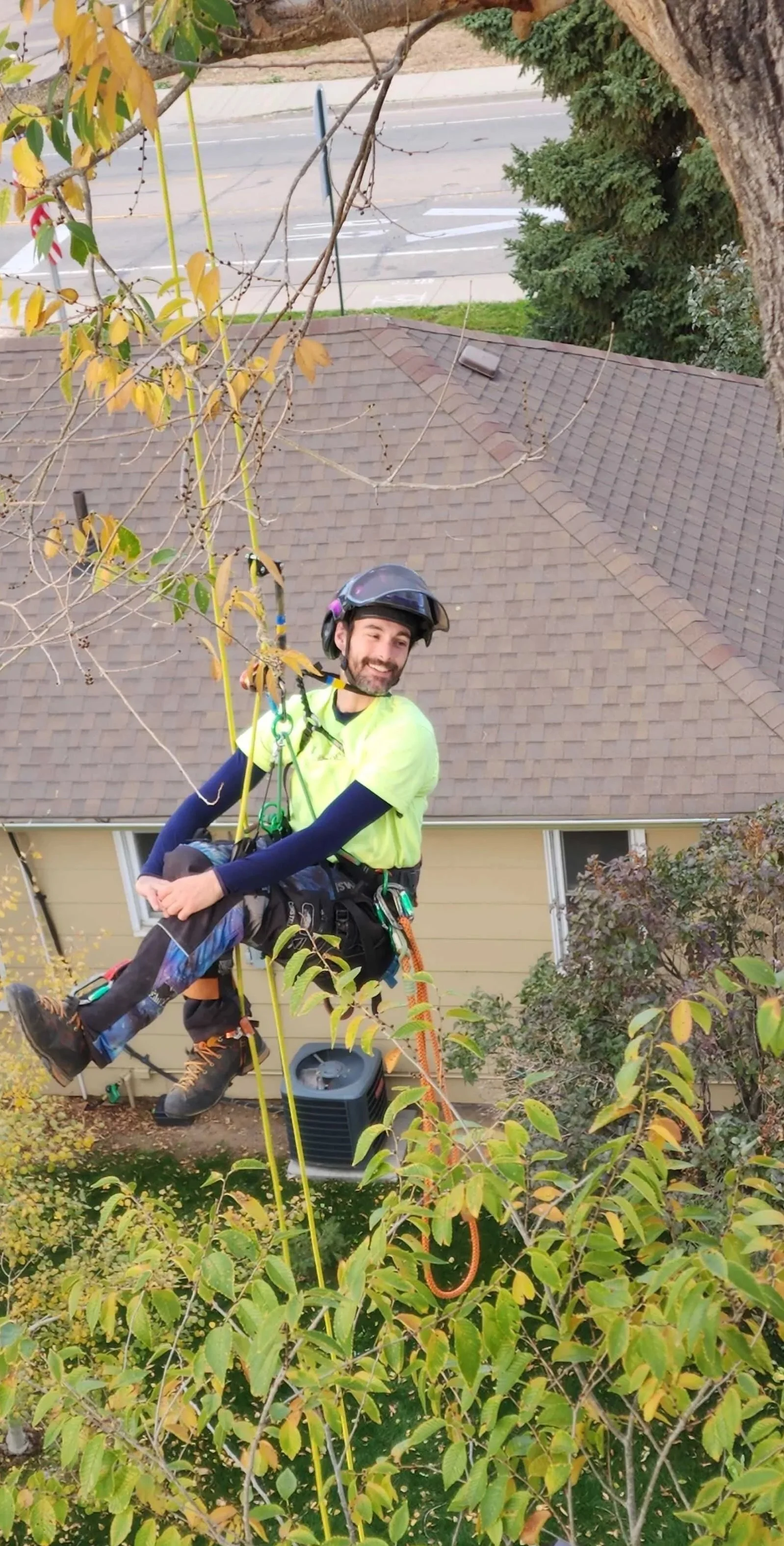 A man in safety gear, including a helmet and harness, is climbing or working in a tree in a residential backyard.