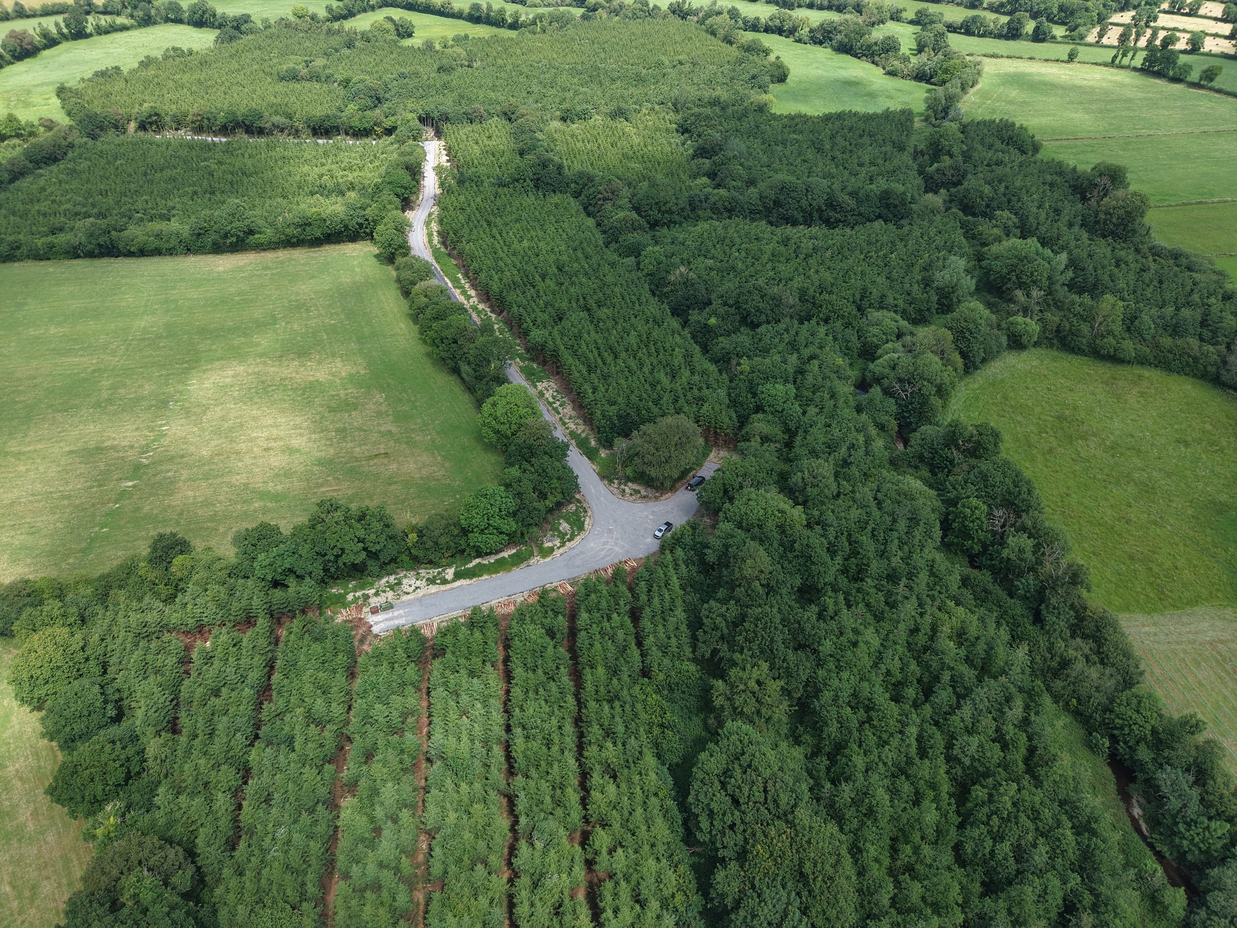 DJI_20260702131057_0418_D.JPG