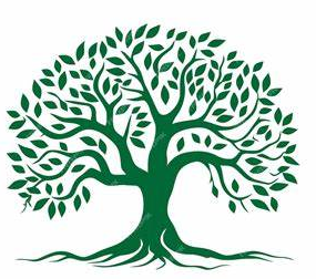 Nolan Forestry