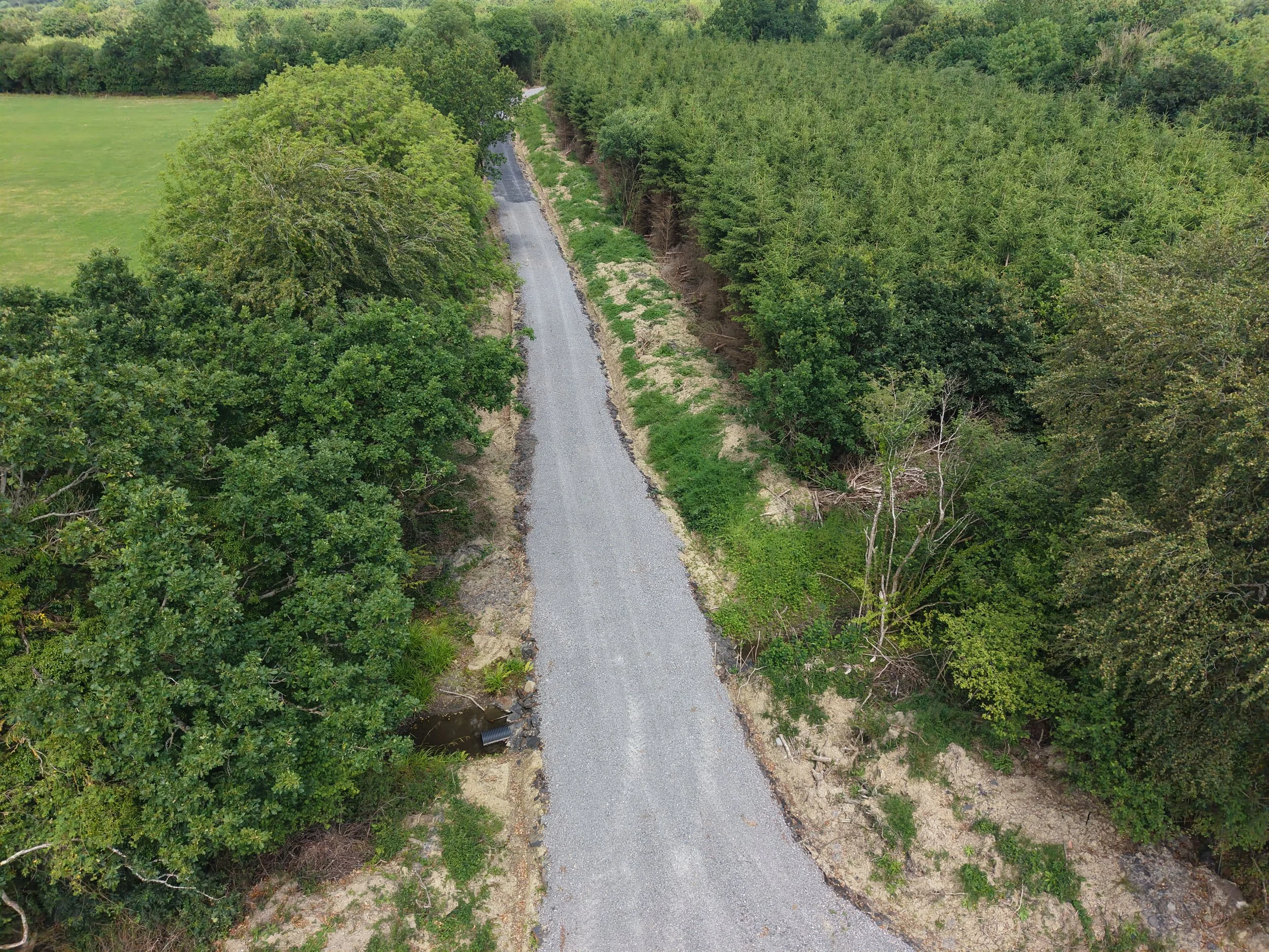 DJI_20260702131130_0419_D.JPG