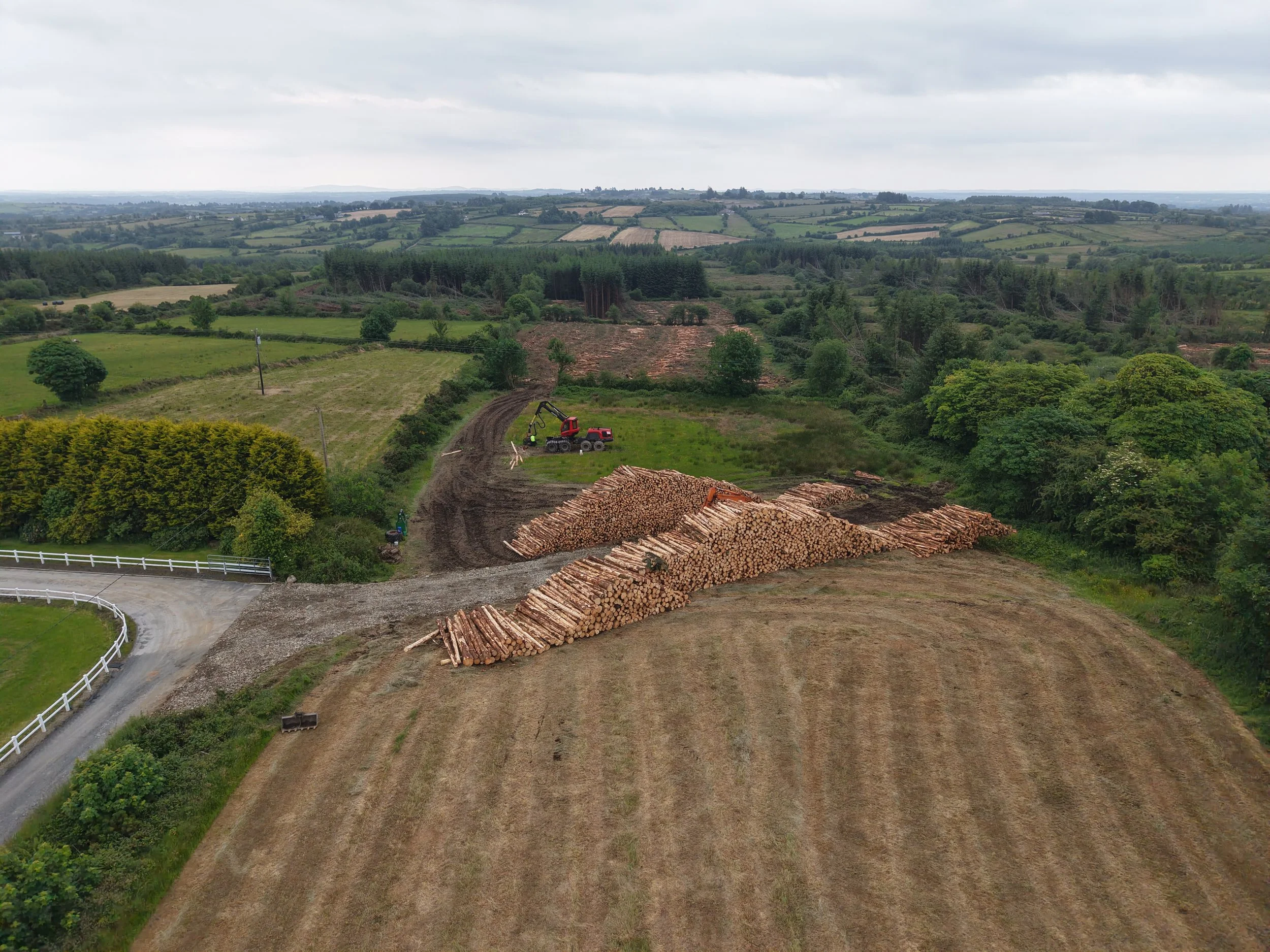 DJI_20260615135844_0402_D.JPG