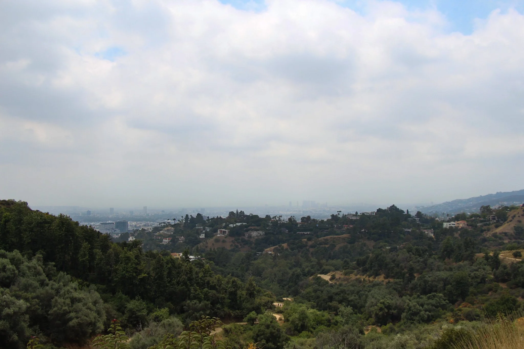 IMG_9733_Original.jpg