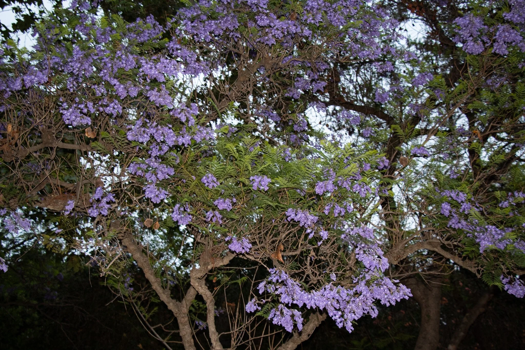 IMG_9824.jpg