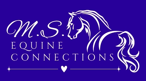 M. S. Equine Connections