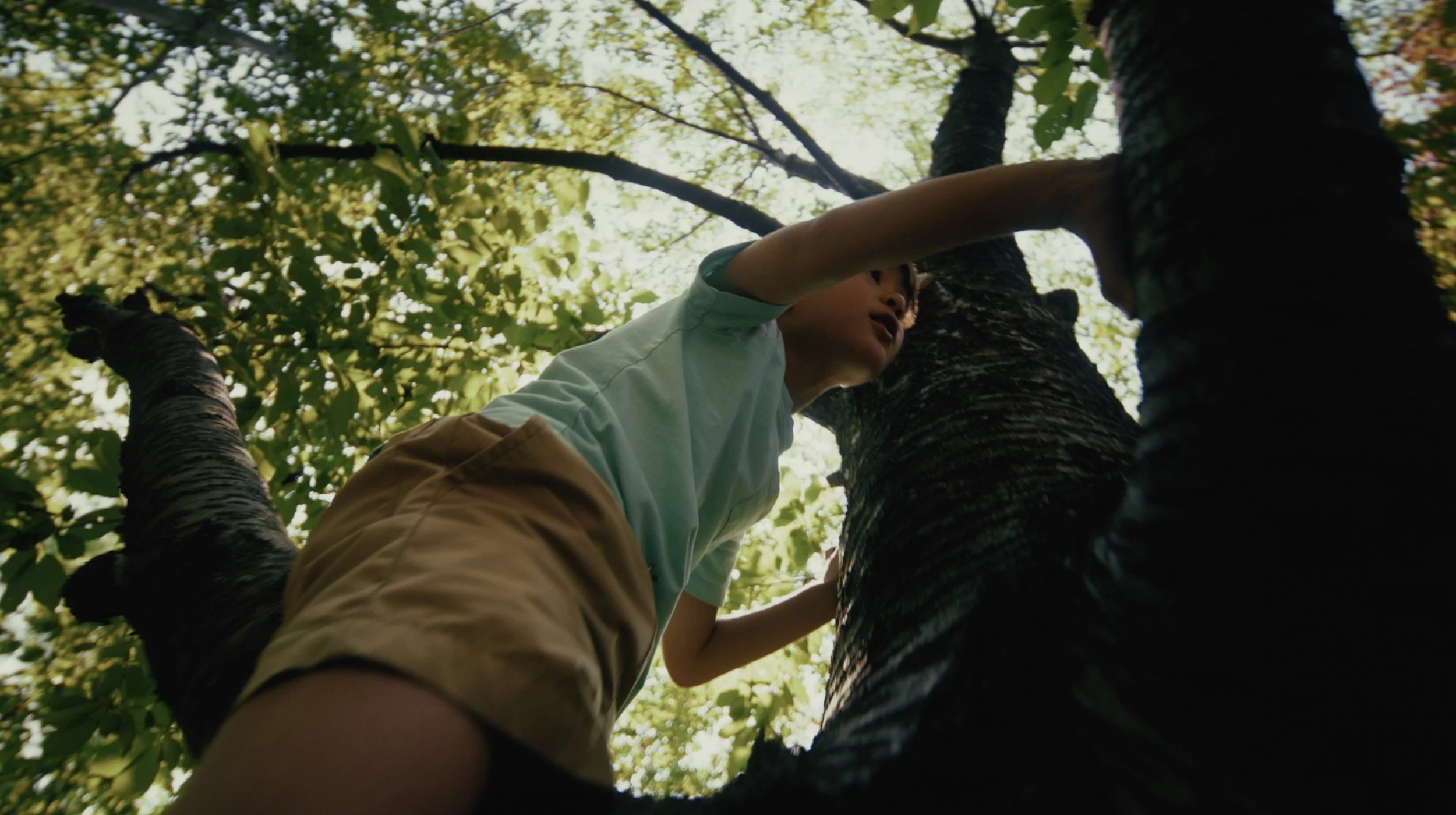 Safehaven_commercial_still_7.jpeg
