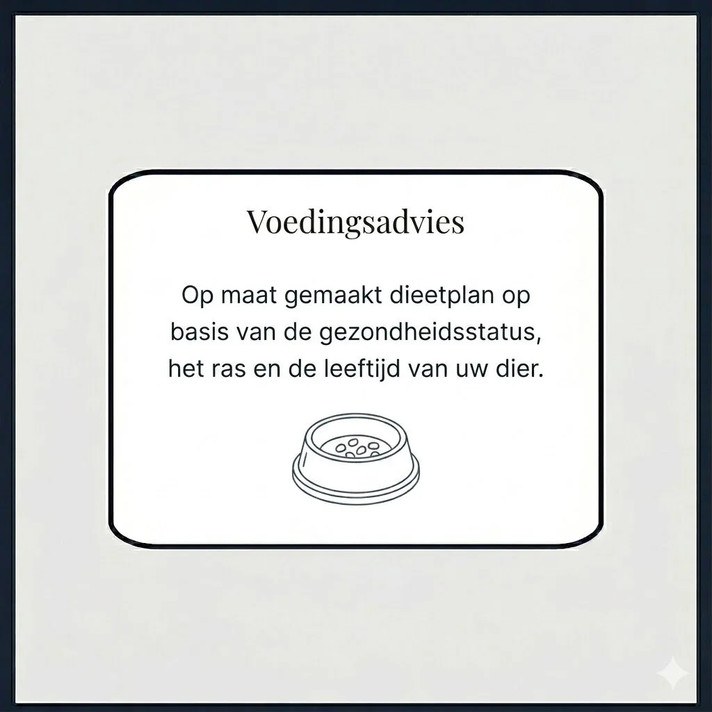 Voedingsadvies met maatwerk dieetplan, gebaseerd op gezondheidsstatus, ras en leeftijd van het huisdier.