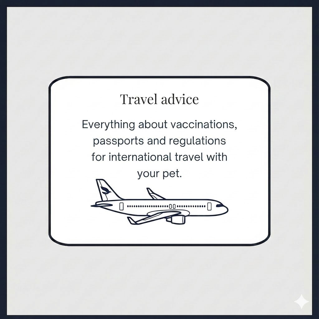 Reisadviesbord over vaccinaties, dierenpaspoort en regelgeving voor internationaal reizen met je huisdier, met afbeelding van een vliegtuig. Travel Advice / Travel Advise for pets