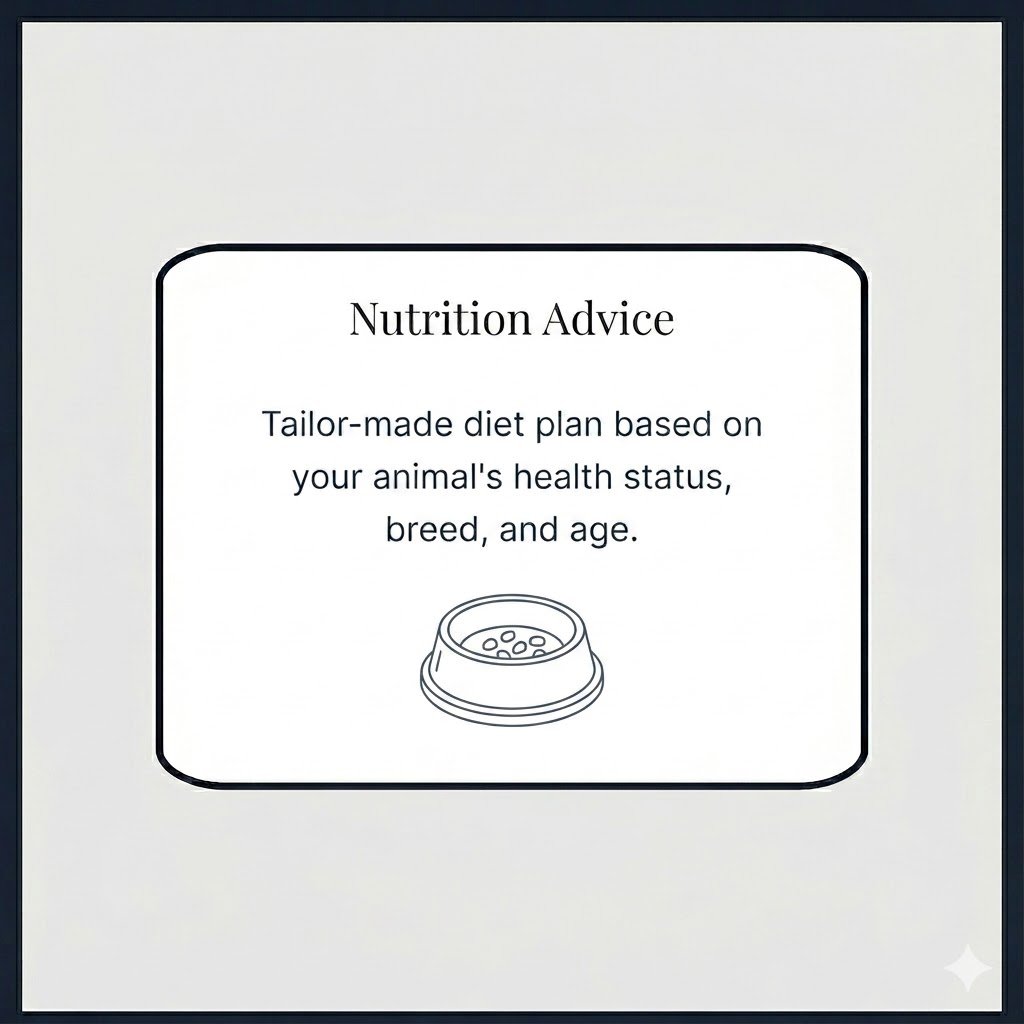 Nutrition advice / Nutrition advise