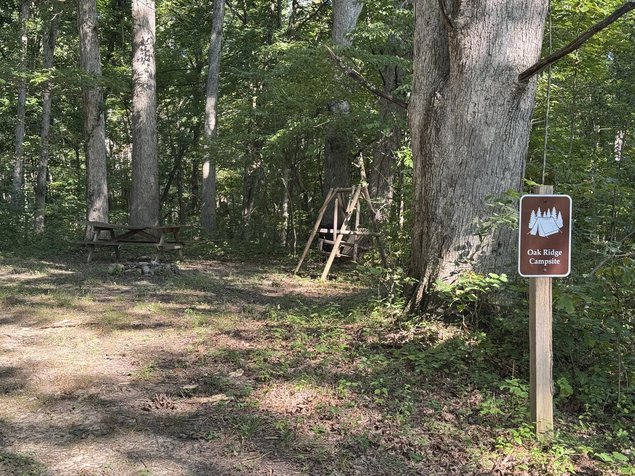 A wooded campsite area with tall trees and a brown sign that reads "Oak Ridge Campsite". There are wooden benches and a fire pit in the foreground.