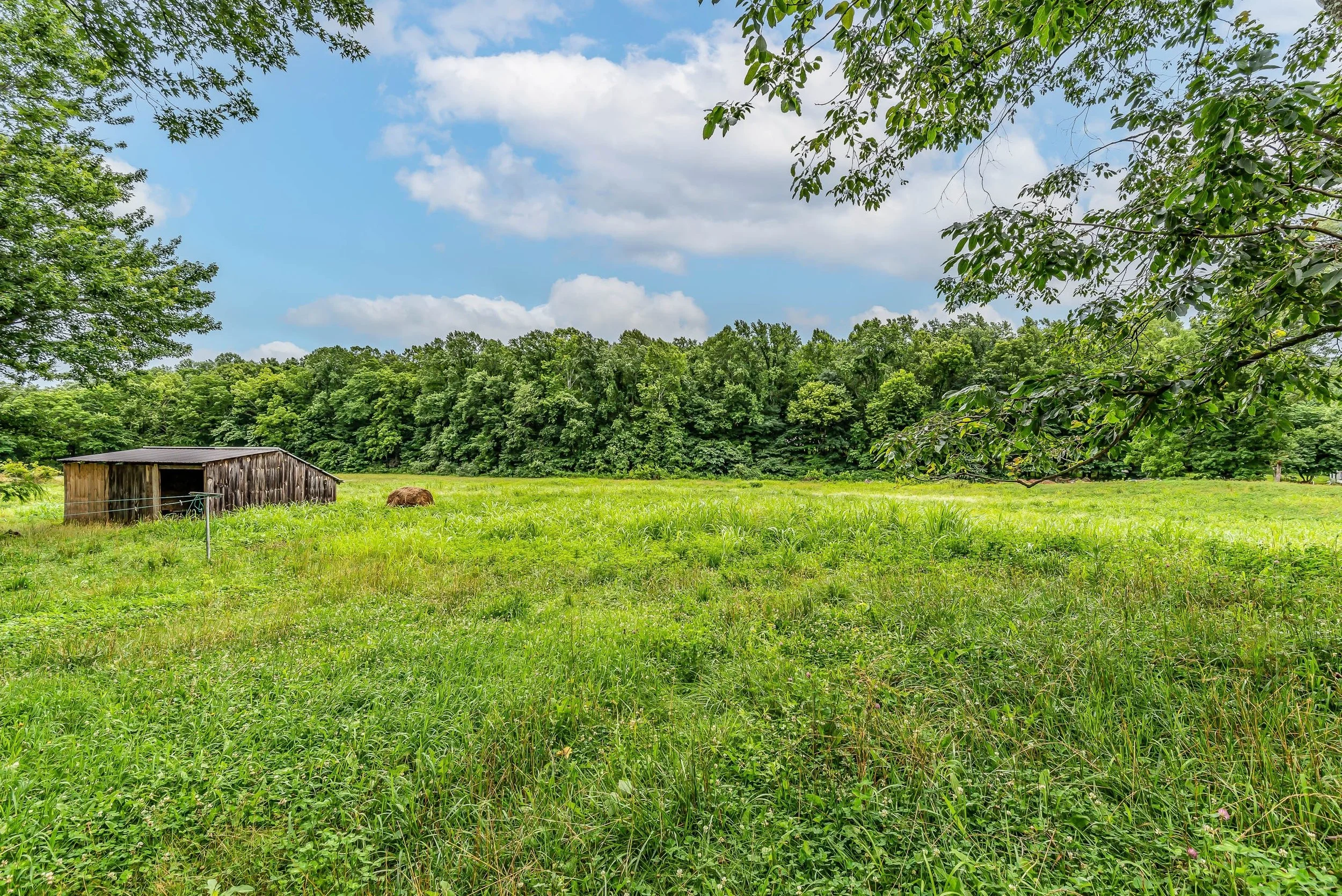 A rural landscape with a green grassy field, a weathered wooden barn, grazing animals, and a dense line of trees under a partly cloudy sky.