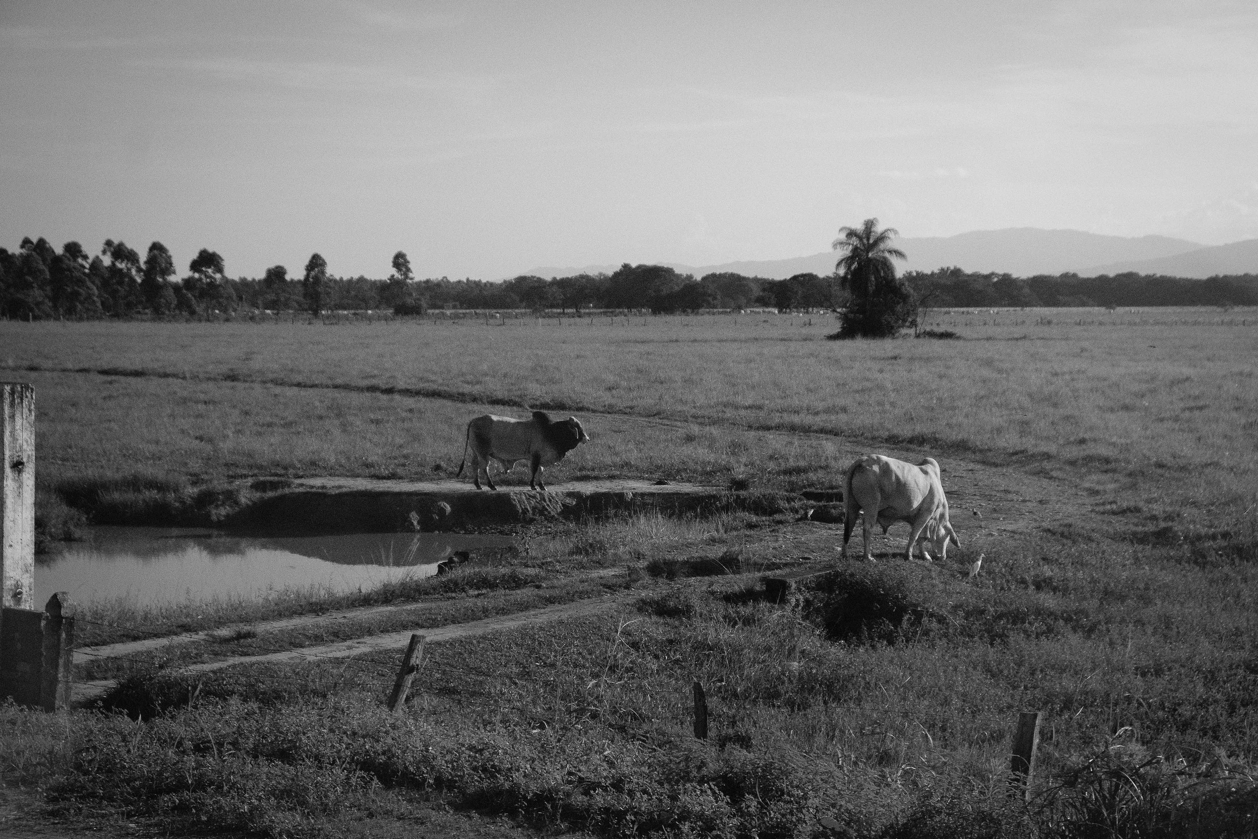 DSCF7250.jpg