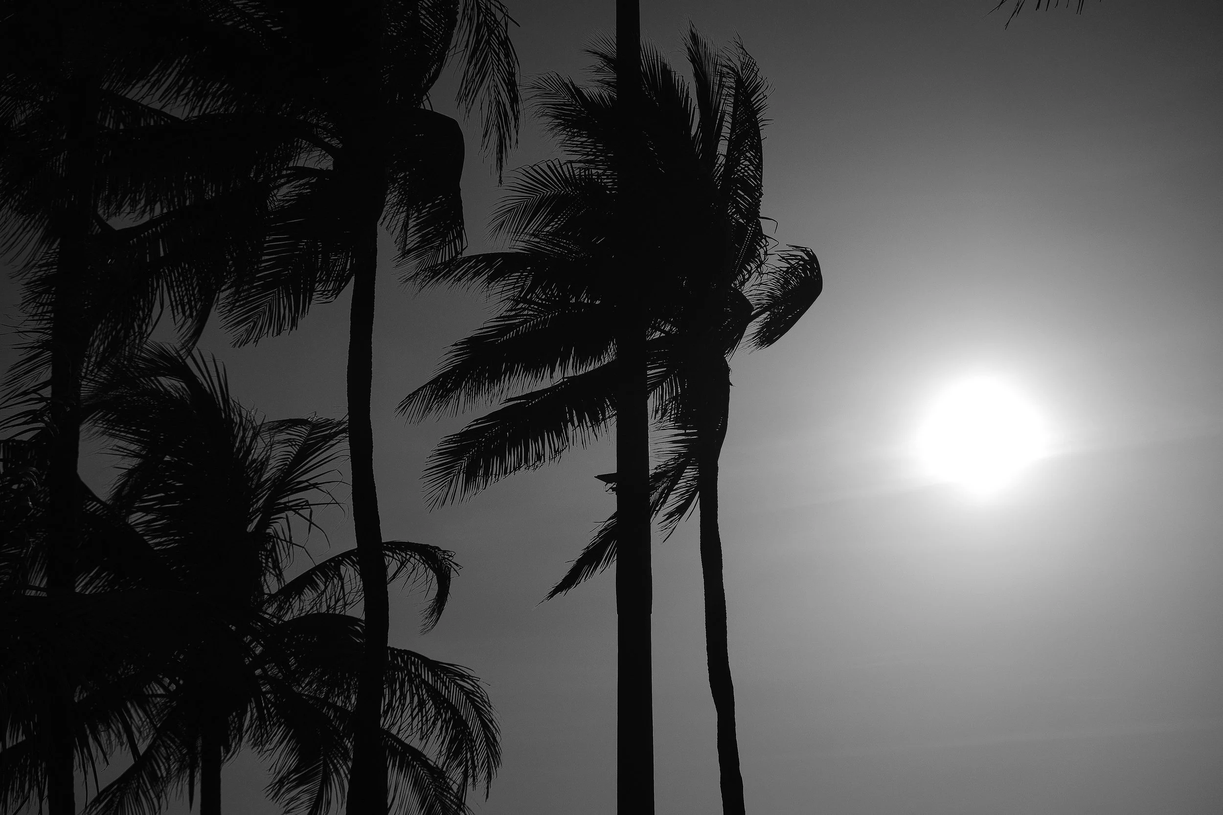 DSCF7647.jpg