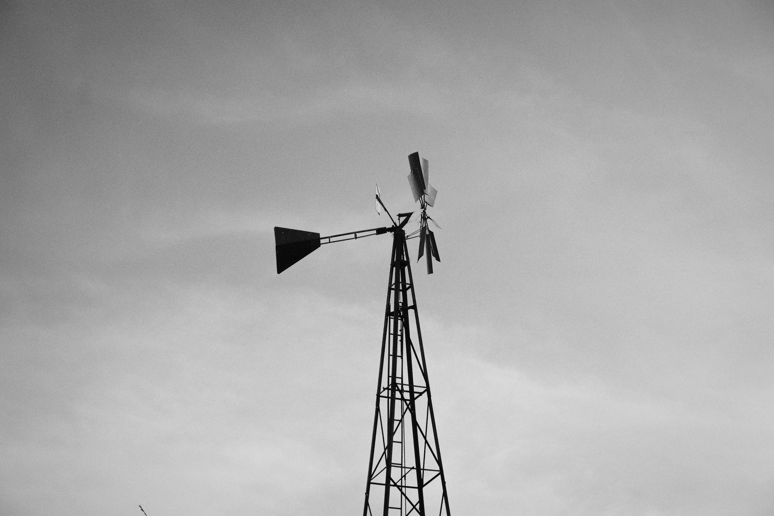 DSCF6705.jpg