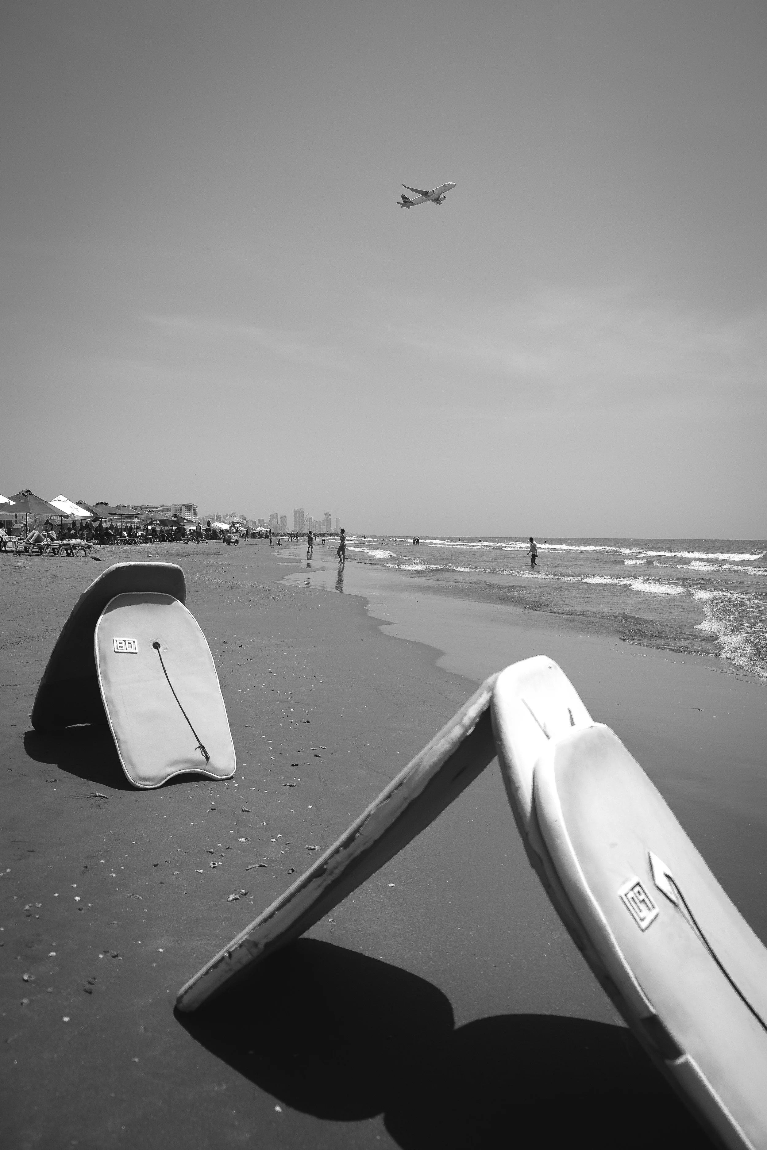 DSCF7556.jpg