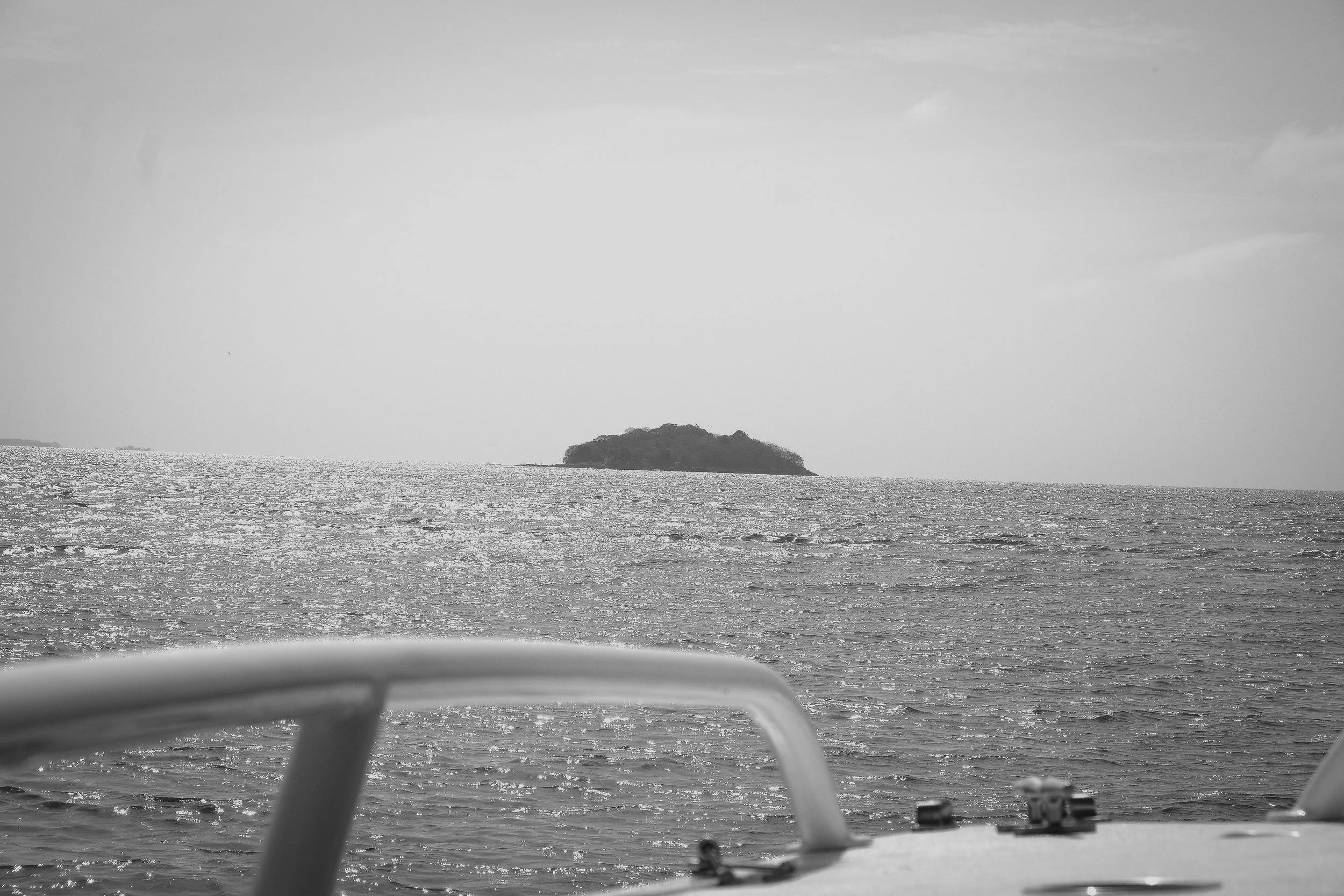 DSCF8423.jpg