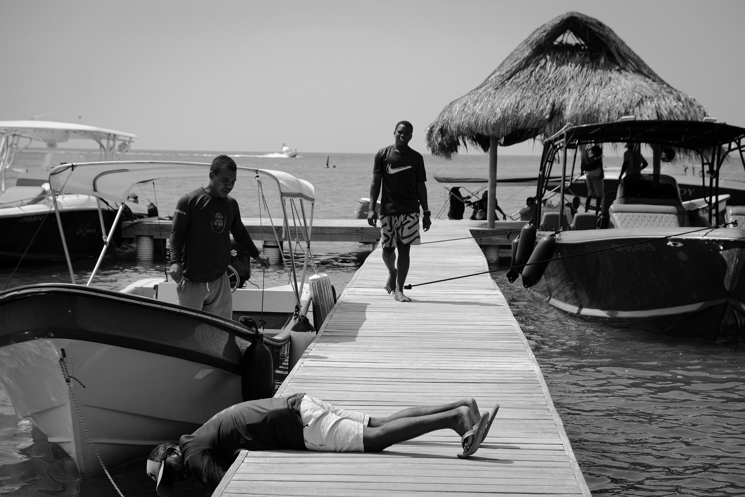 DSCF8333.jpg