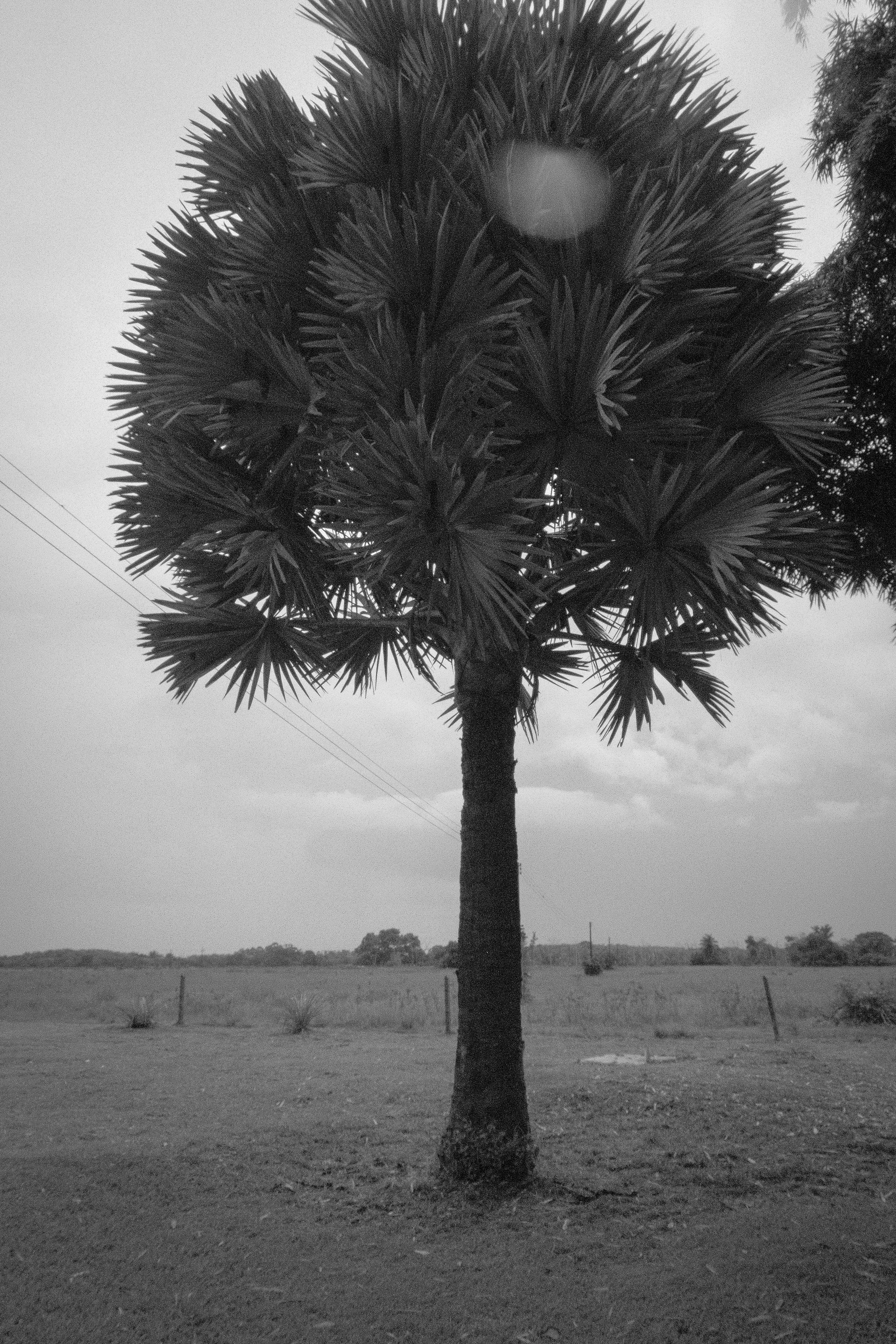DSCF5830.jpg