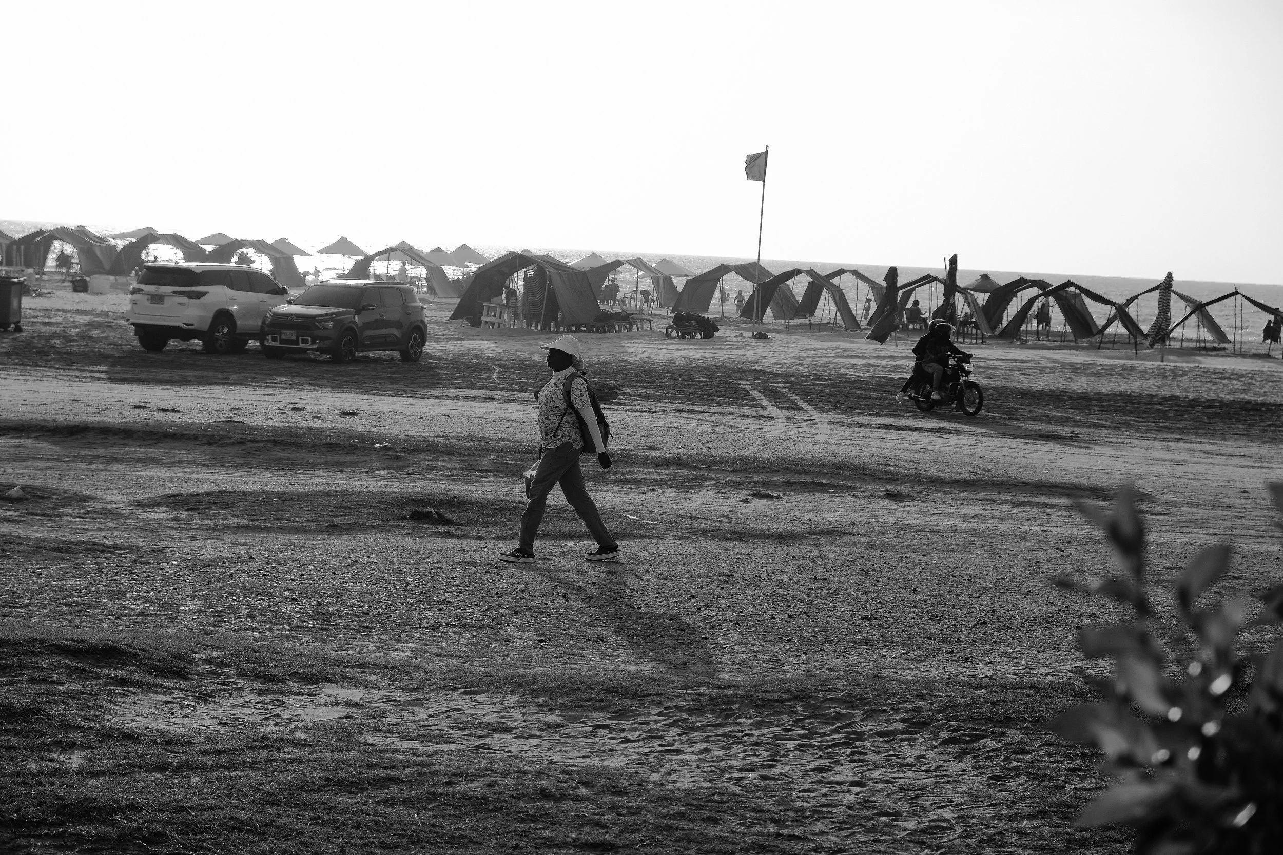 DSCF7701.jpg